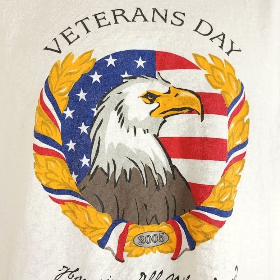 Fruit Of The Loom VINTAGE Veterans Day T Shirt Mens Size Large Y2K Bald Eagle American Flag Patriotic Shirt Size US L / EU 52-54 / 3 - 3 Thumbnail