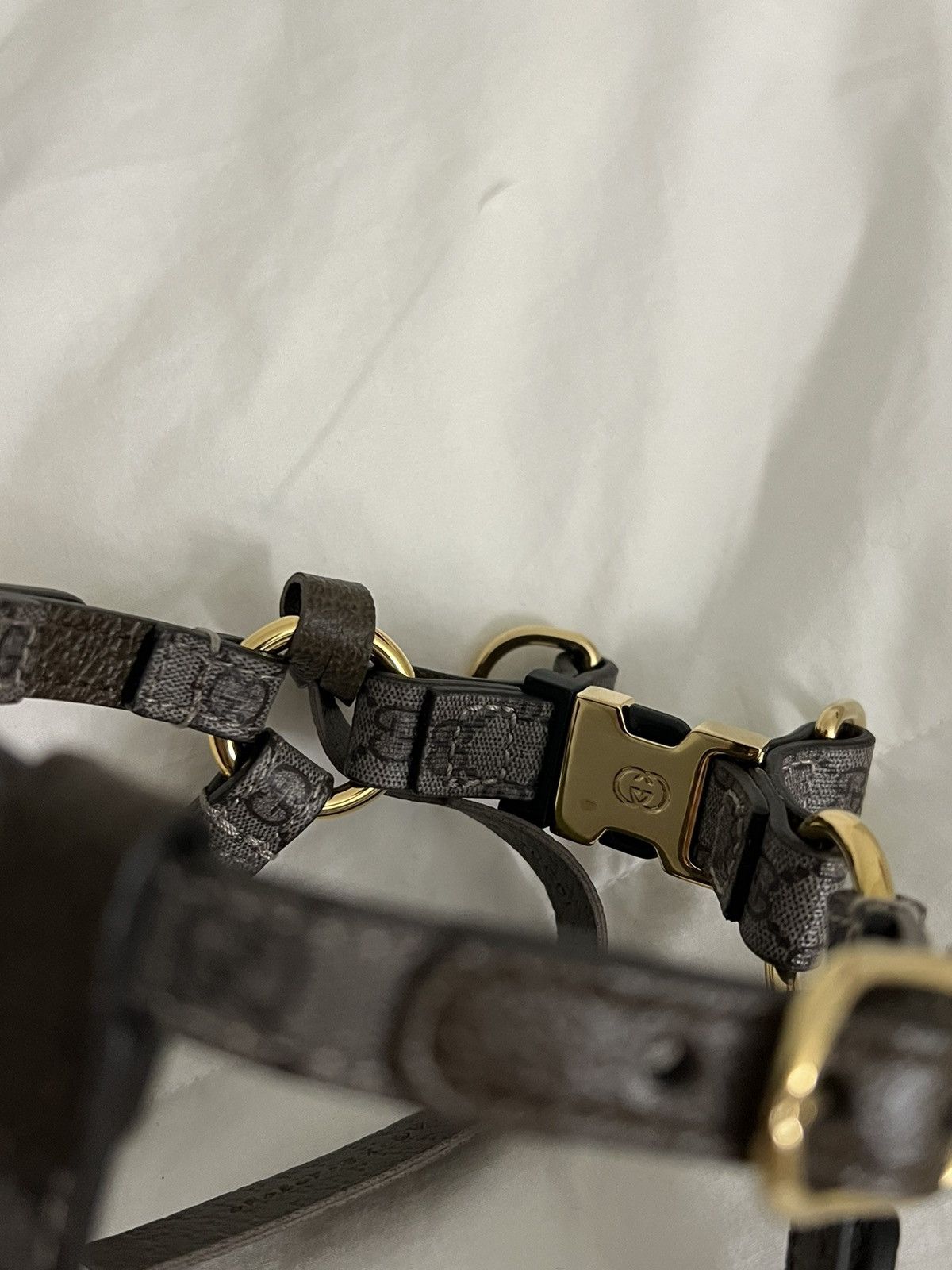 Gucci Extra Small Gucci Dog Collar Size ONE SIZE - 2 Thumbnail