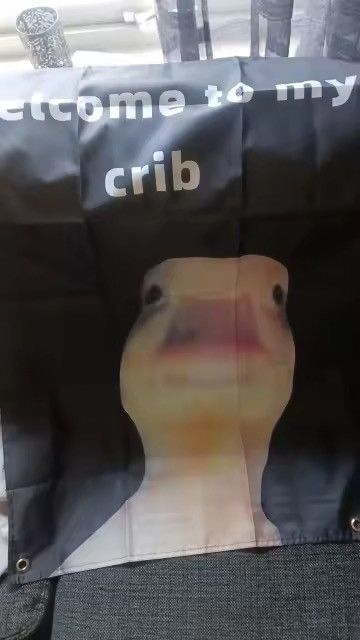 Other "Welcome to My Crib" Flag With Brass Grommet Decor Size ONE SIZE - 6 Thumbnail