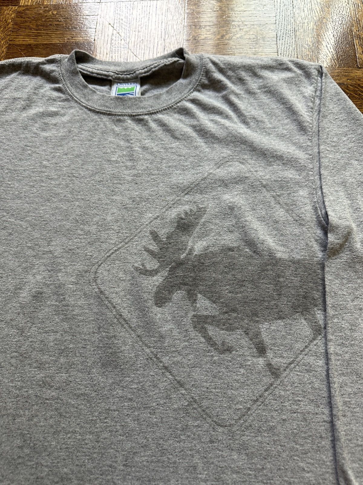 Vintage Vintage Y2K Pinery Provincial Park Ontario Moose Graphic Tee Size US M / EU 48-50 / 2 - 2 Thumbnail