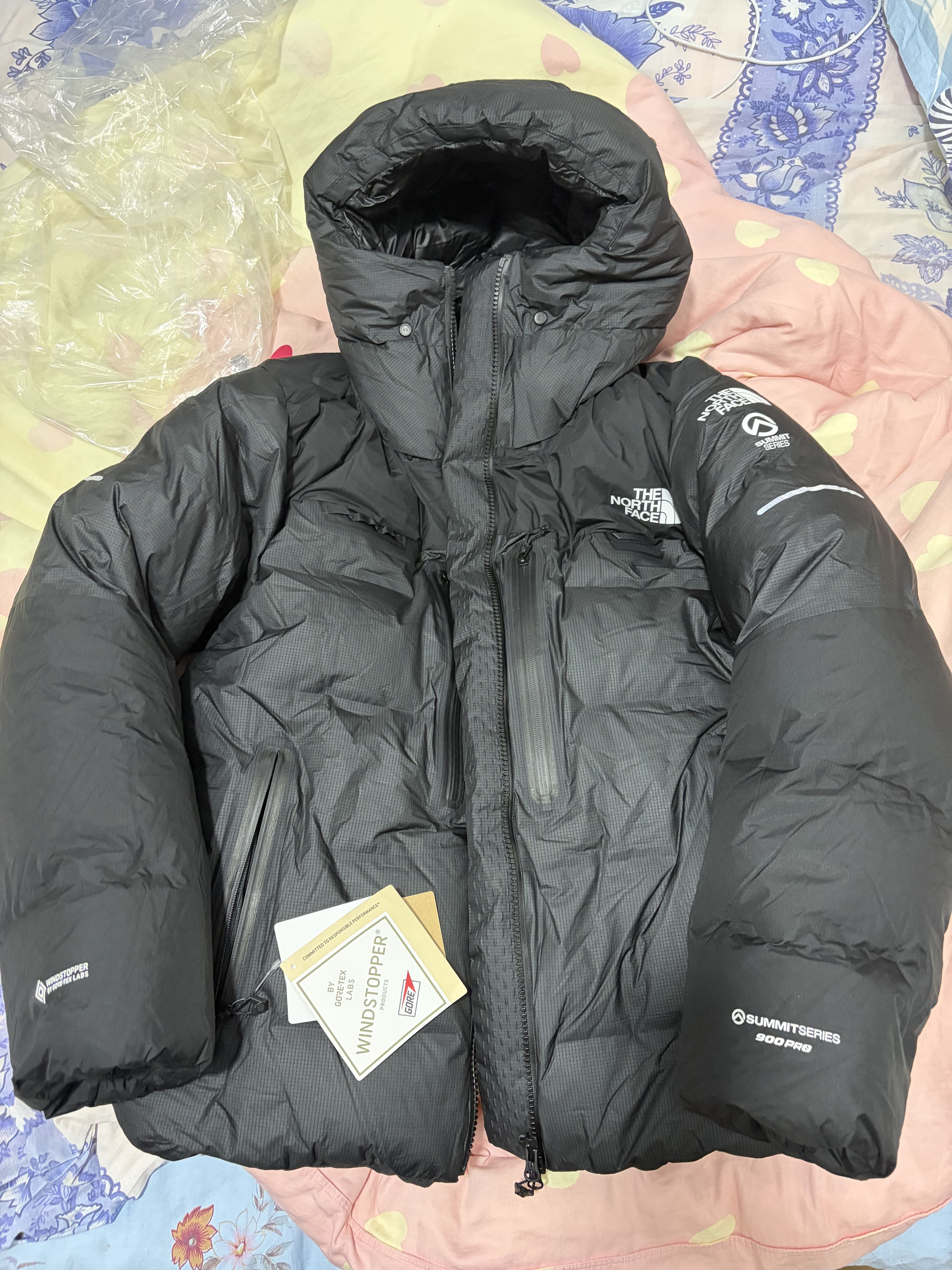 The North Face THE NORTH FACE 𝖧𝗂𝗆𝖺𝗅𝖺𝗒𝖺𝗇 𝖯𝖺𝗋𝗄𝖺 gtx down Size ONE SIZE - 4 Thumbnail