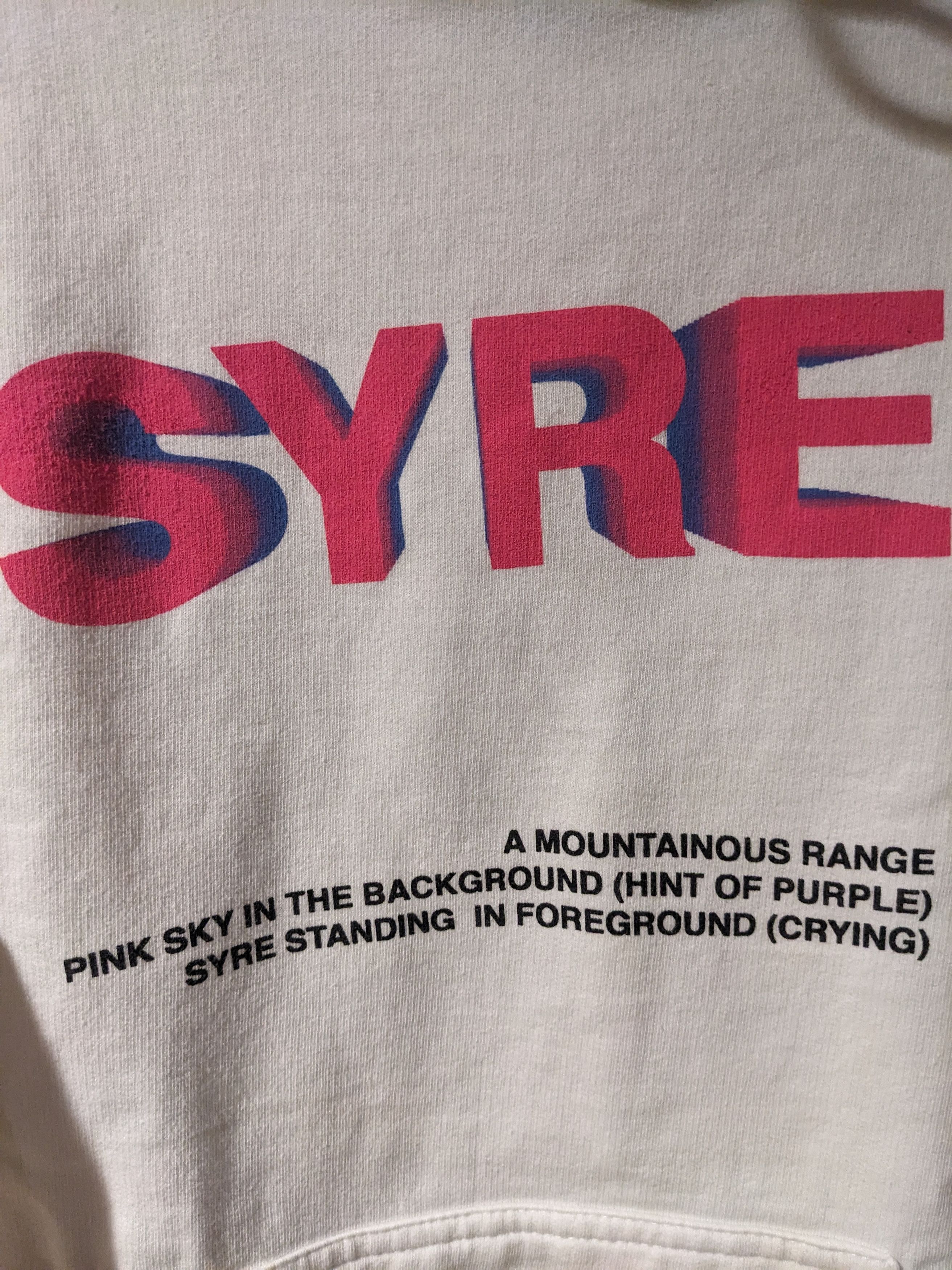 Gildan × Jaden Smith Jaden Smith Music Syre Promo MSFTS Vision Small Hoodie Size US S / EU 44-46 / 1 - 2 Thumbnail