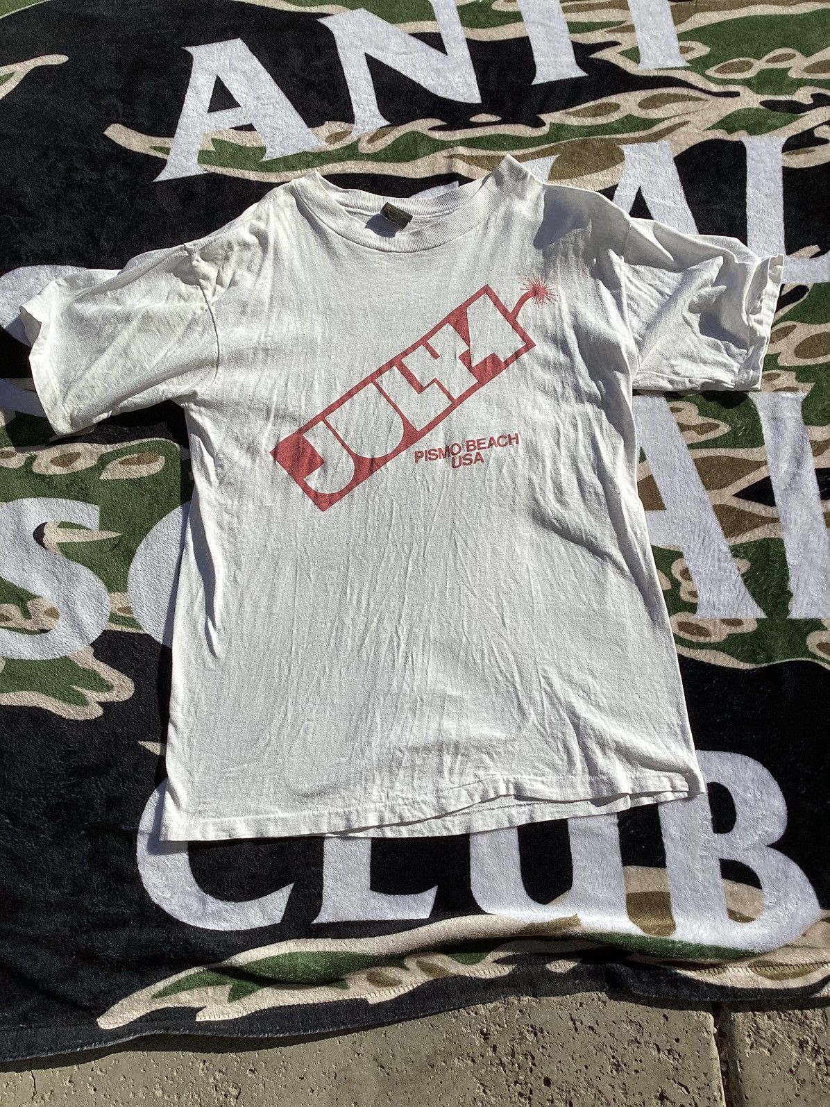 Anvil Vtg 90s Pismo Beach California July 4 Sierra club sucks Tee Size US L / EU 52-54 / 3 - 1 Thumbnail