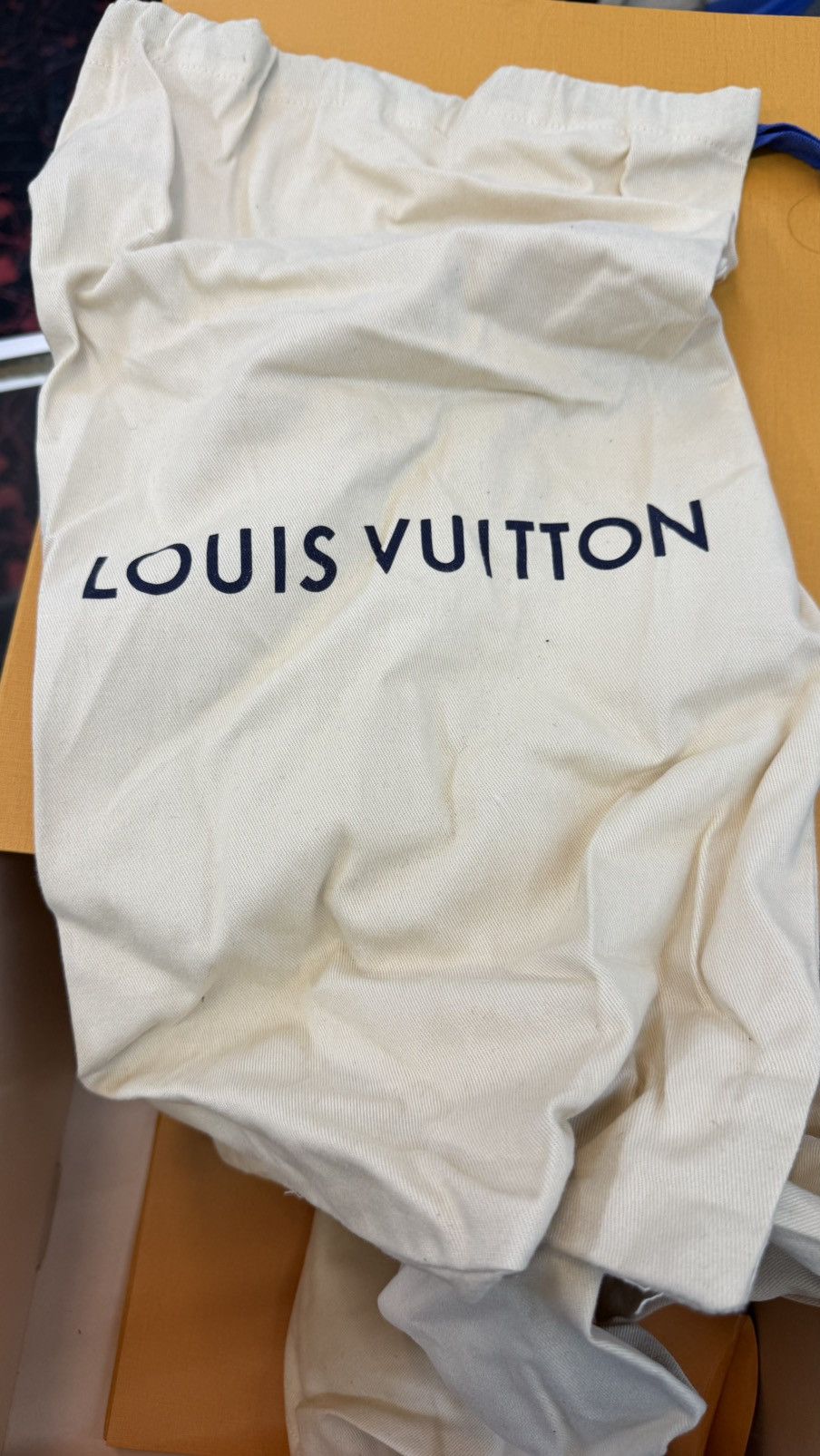 Louis Vuitton Louis vuitton Millenium Ankle boot Size US 9 / EU 42 - 8 Thumbnail