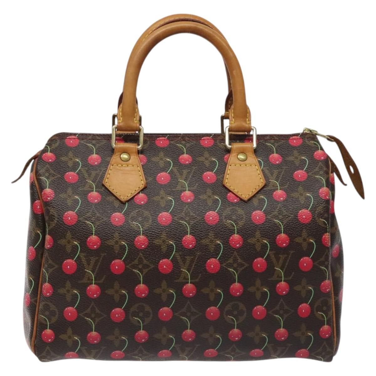 Louis Vuitton Speedy 25 handbag