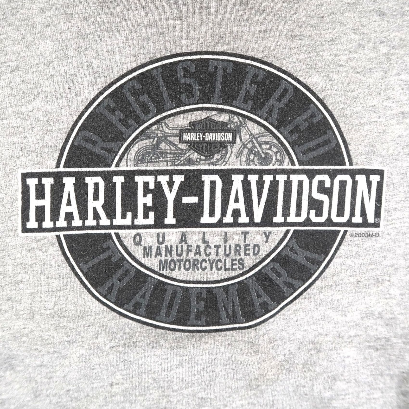 Harley Davidson VINTAGE Harley-Davidson T-Shirt Men L Gray Sleeveless Biker Crew Neck 2003 Y2K Logo Size US L / EU 52-54 / 3 - 3 Thumbnail