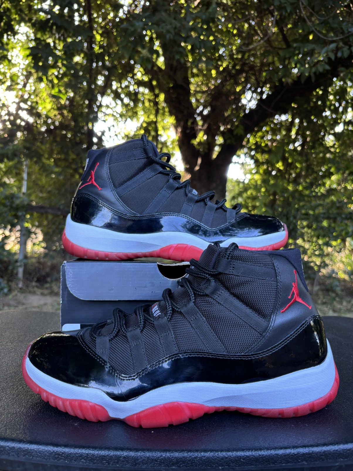Air Jordan 11 bred playoffs