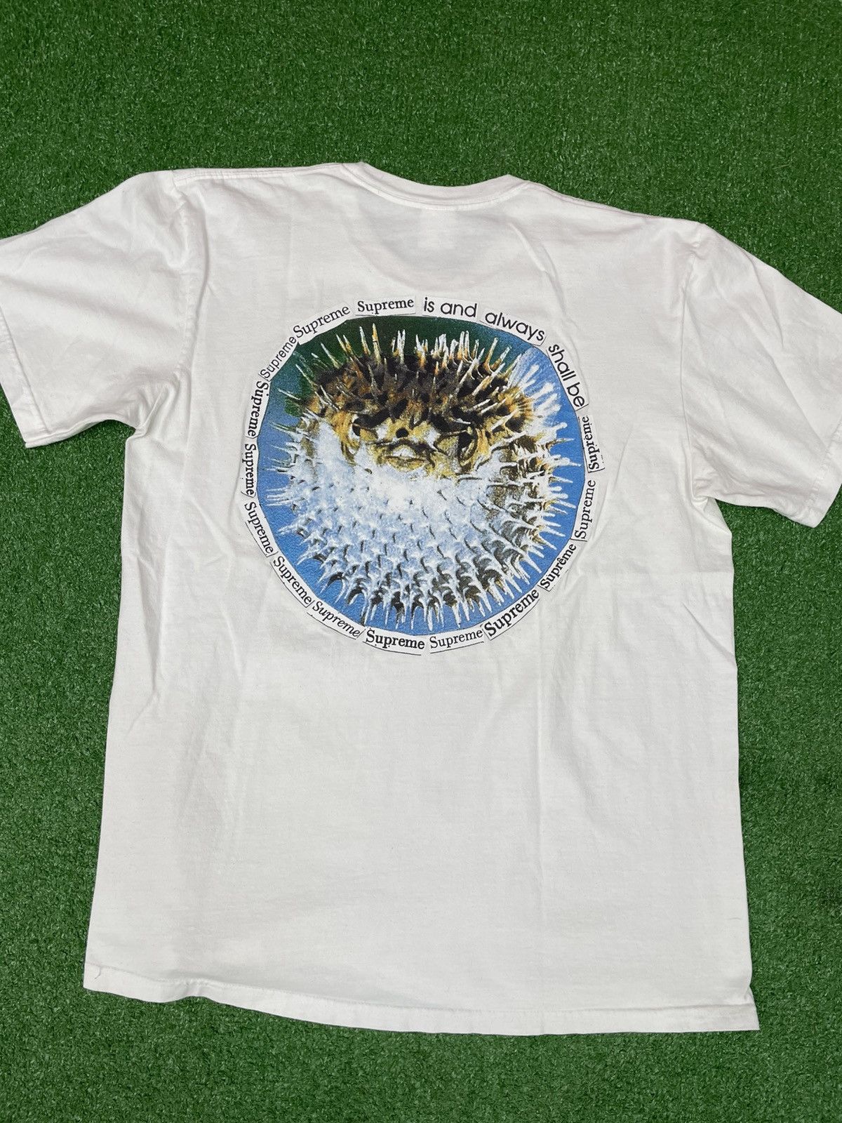 Supreme Supreme Richardson Tee 2003 White Large | Grailed