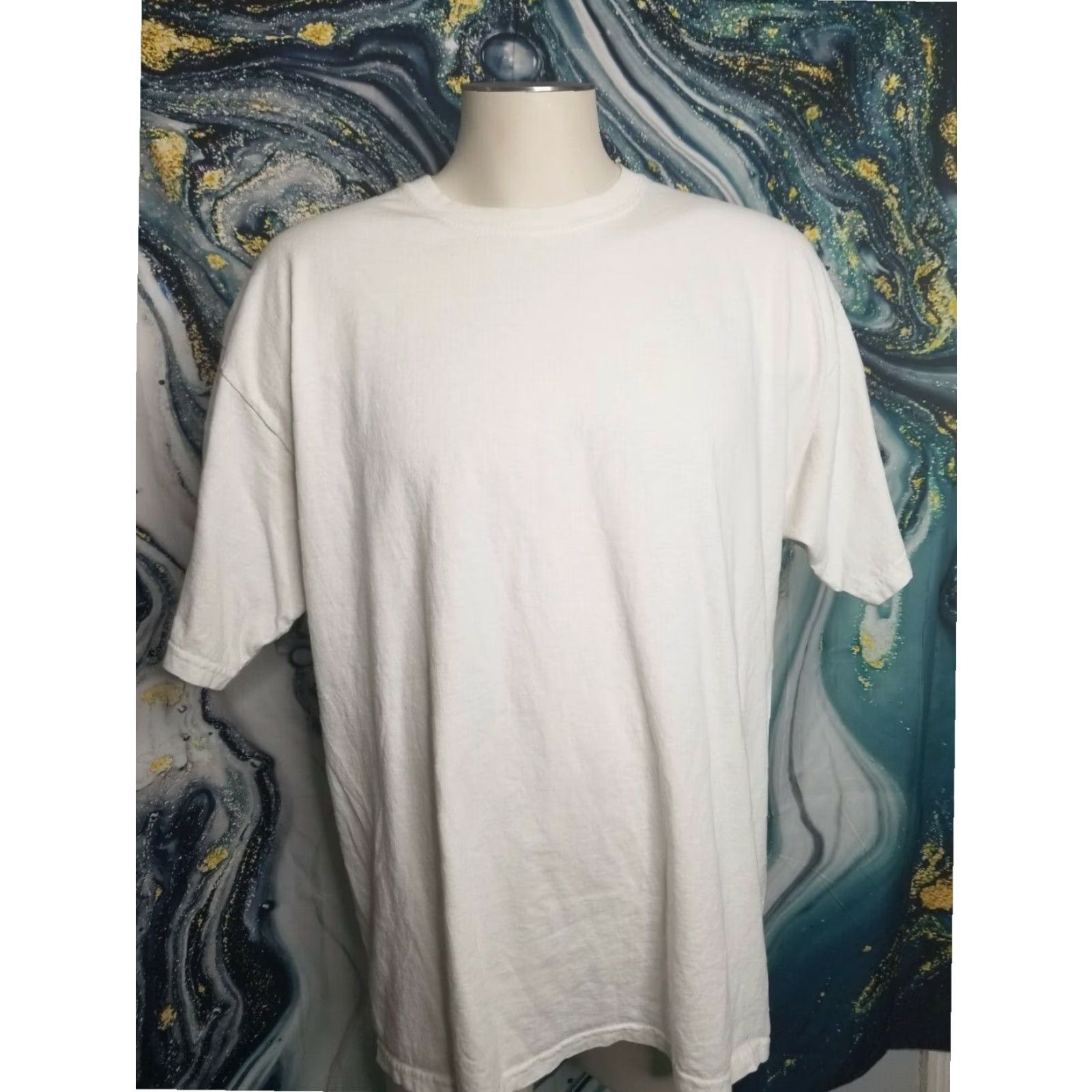 Gildan Retro Gildan XL Mens Daytona Beach Thunderbirds Arena Football T Shirt White Size US XL / EU 56 / 4 - 2 Thumbnail