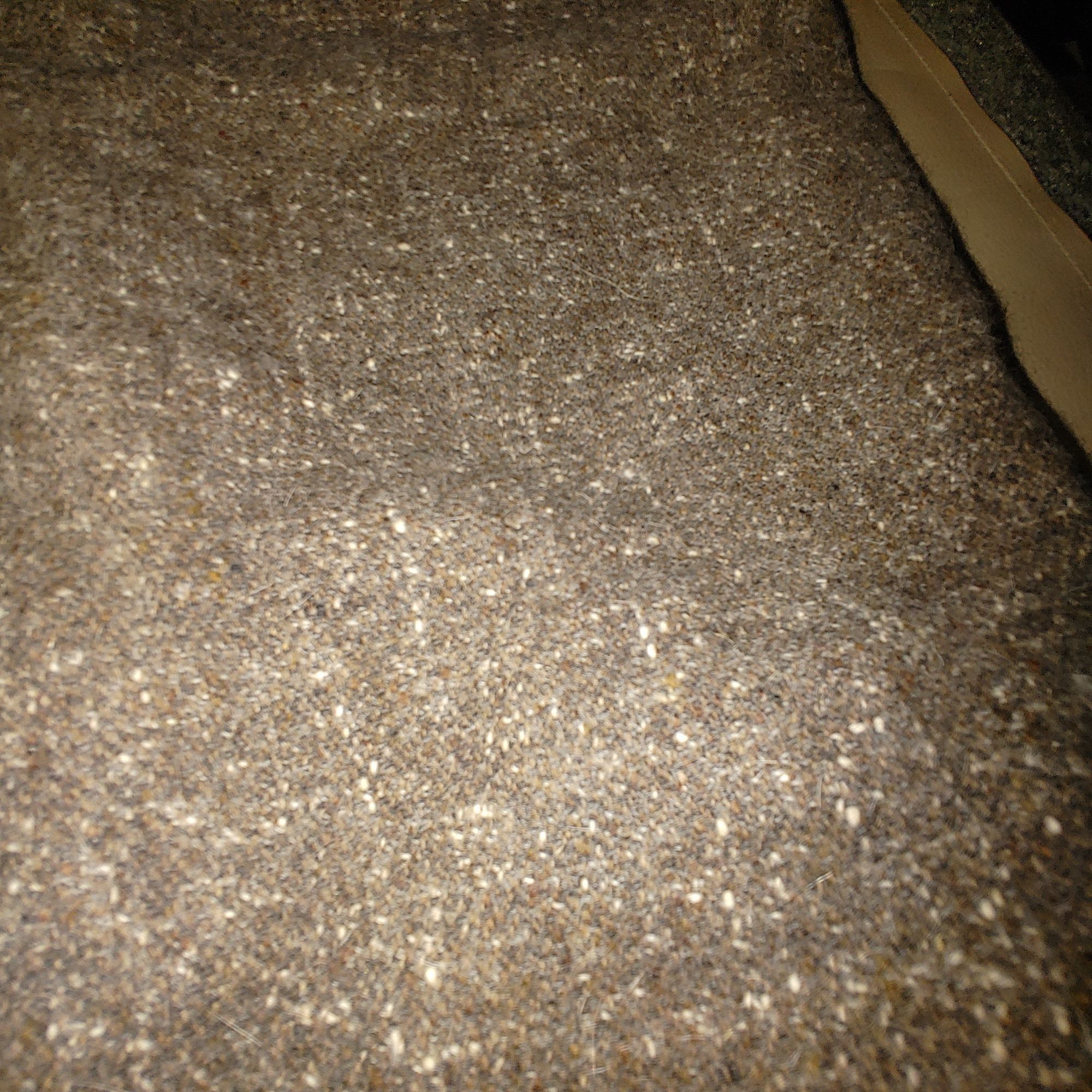Other Valentino Skirt Suit Set Sz 12 Wool Angora Blend Brown Tweed Size XL / US 12-14 / IT 48-50 - 8 Thumbnail