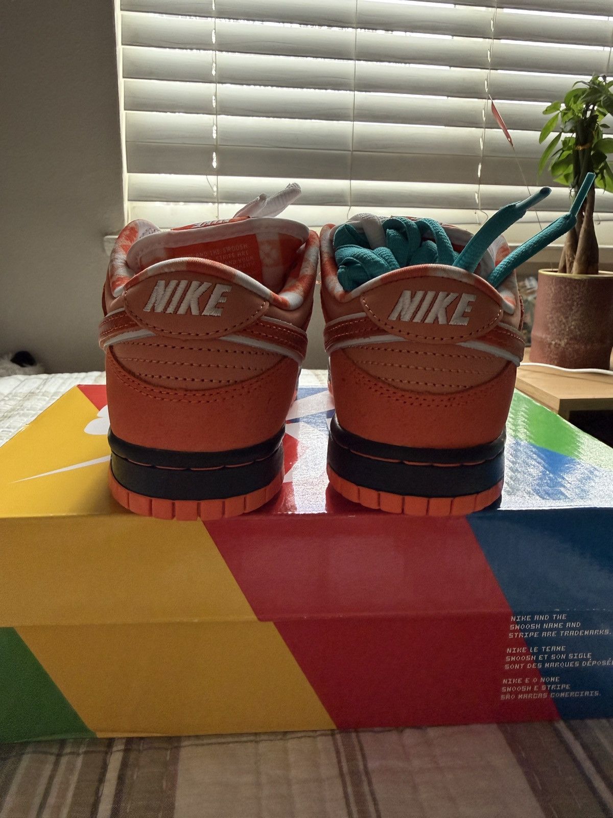Nike Nike Dunk Low SB Orange Lobster Size US 5.5 / IT 35.5 - 4 Thumbnail