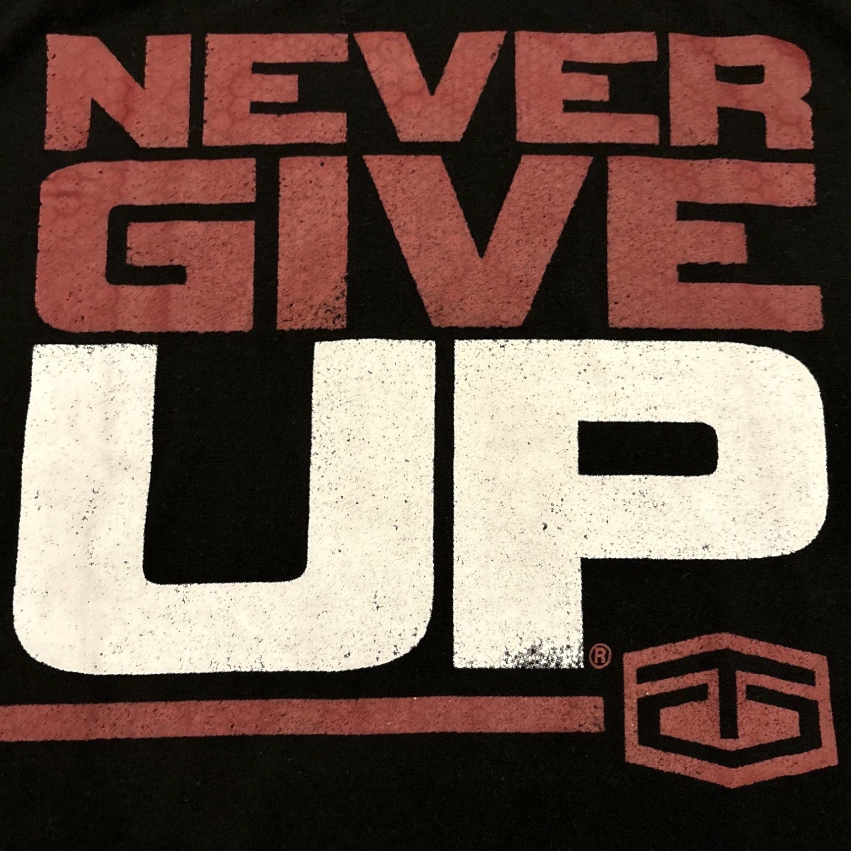 Tapout VINTAGE? No — Tapout T Shirt Men L Black Never Give Up Short Sleeve MMA 2016 Shirt Men Black L Fall Summer 2016 MMA Tapout Tee Size US L / EU 52-54 / 3 - 2 Thumbnail