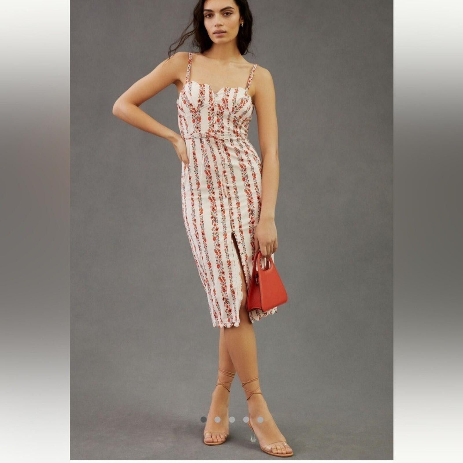 Anthropologie Anthro $170 Sweetheart Floral Striped Midi Dress Size 8 Size M / US 6-8 / IT 42-44 - 1 Thumbnail