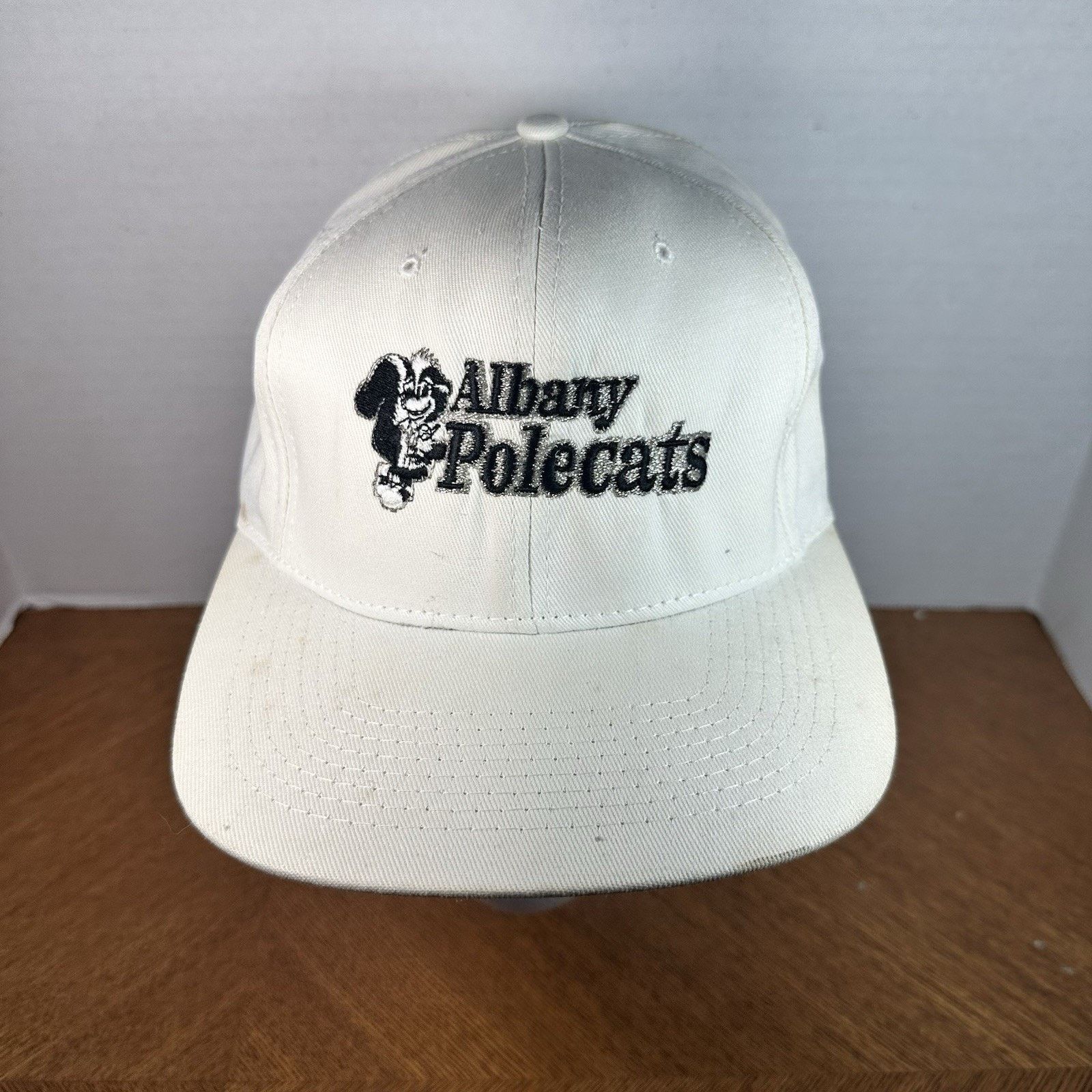 Other Vtg 90's Albany Polecats Defunct MILB Snapback Baseball Hat Size ONE SIZE - 1 Thumbnail