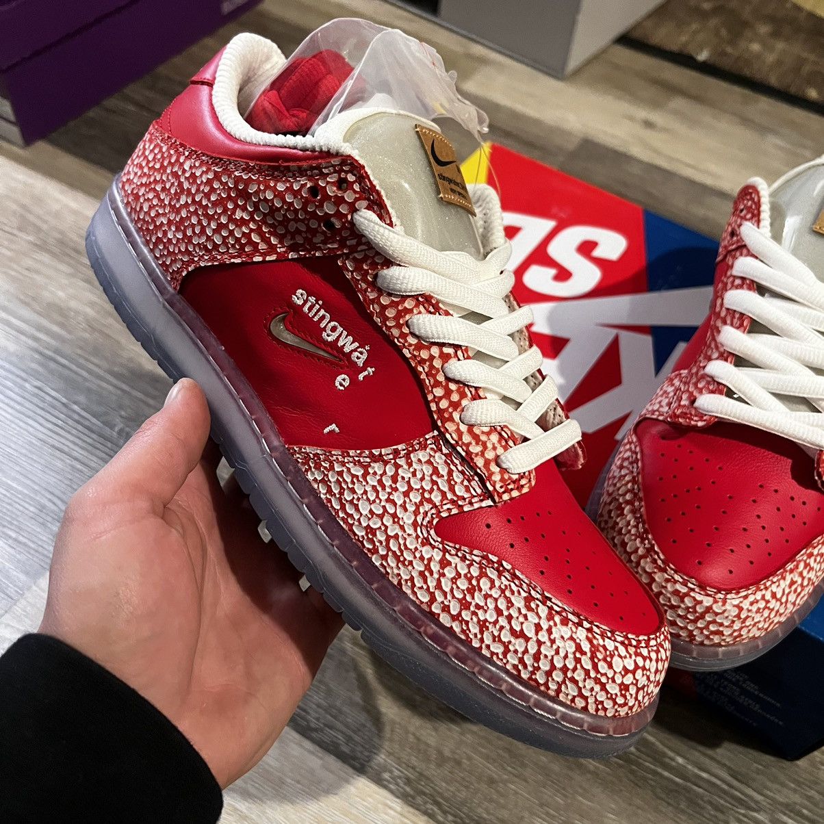 Nike × Stingwater Nike Sb Dunk Low Stingwater Magic Mushroom Size US 10.5 / EU 43-44 - 19 Thumbnail