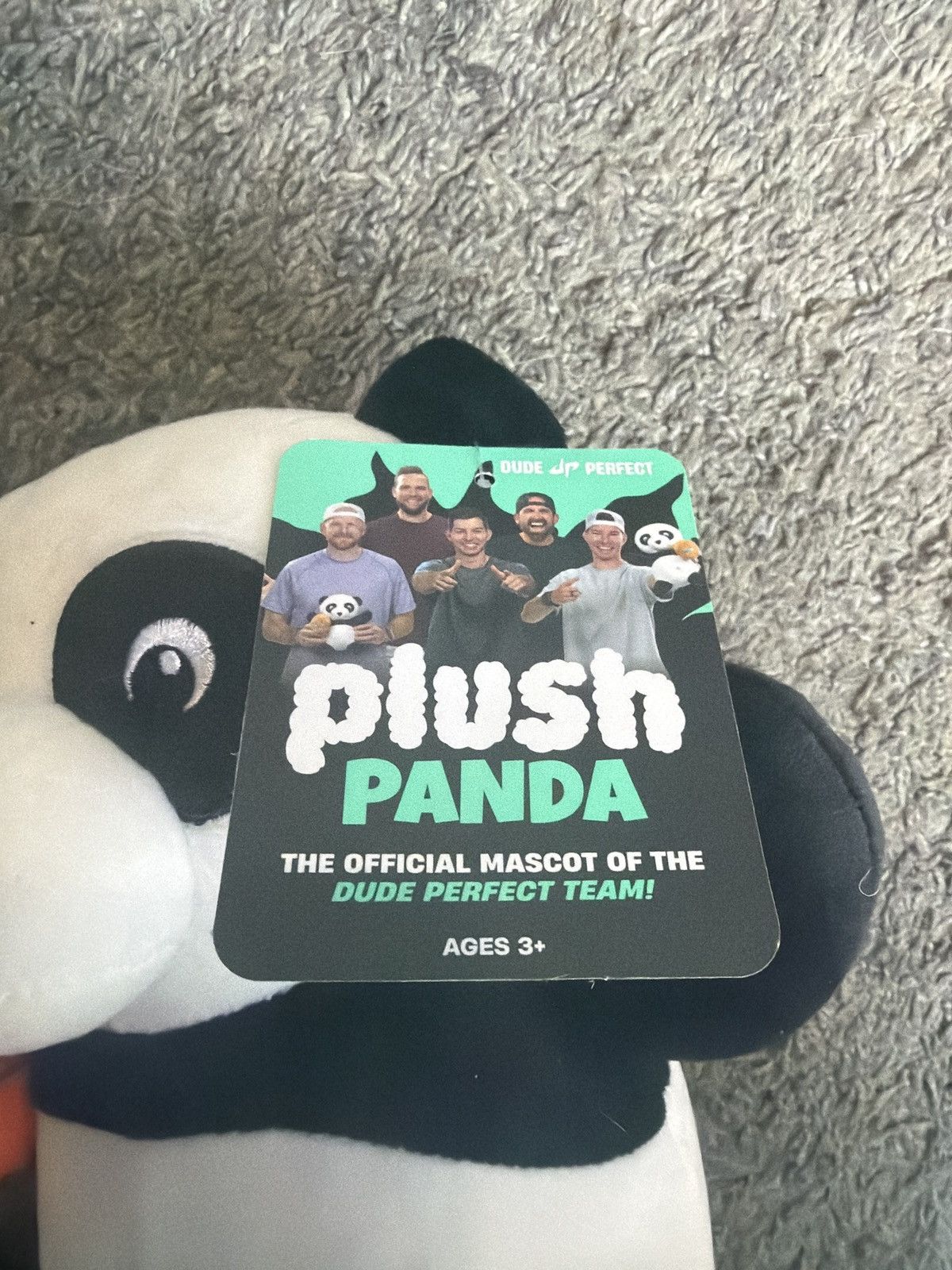 Hypebeast 2023 Dude Perfect Plush Panda Size ONE SIZE - 4 Thumbnail