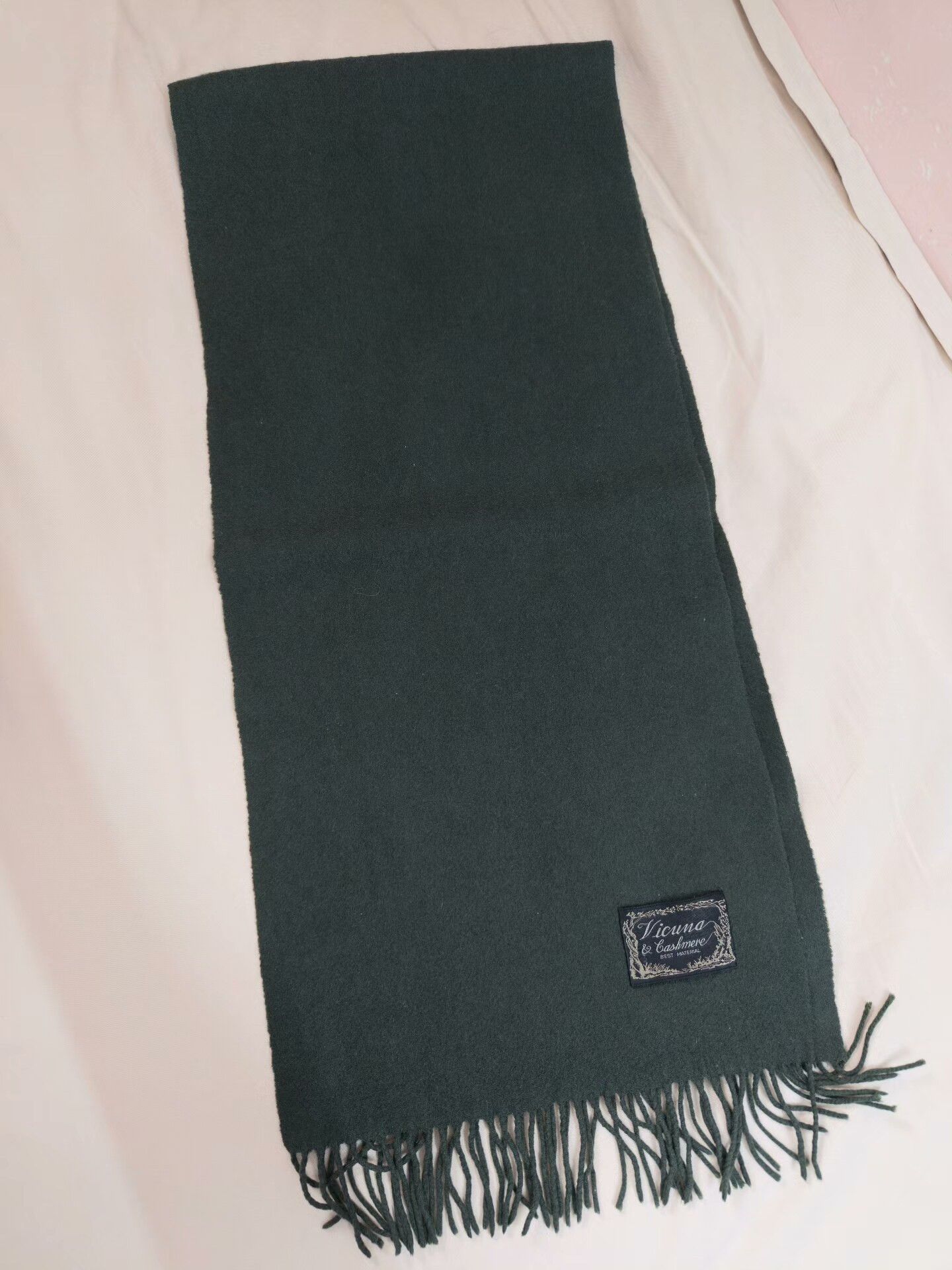 Extreme Cashmere Vicuna Cashmere Blend Green Scarf Size ONE SIZE - 1 Thumbnail