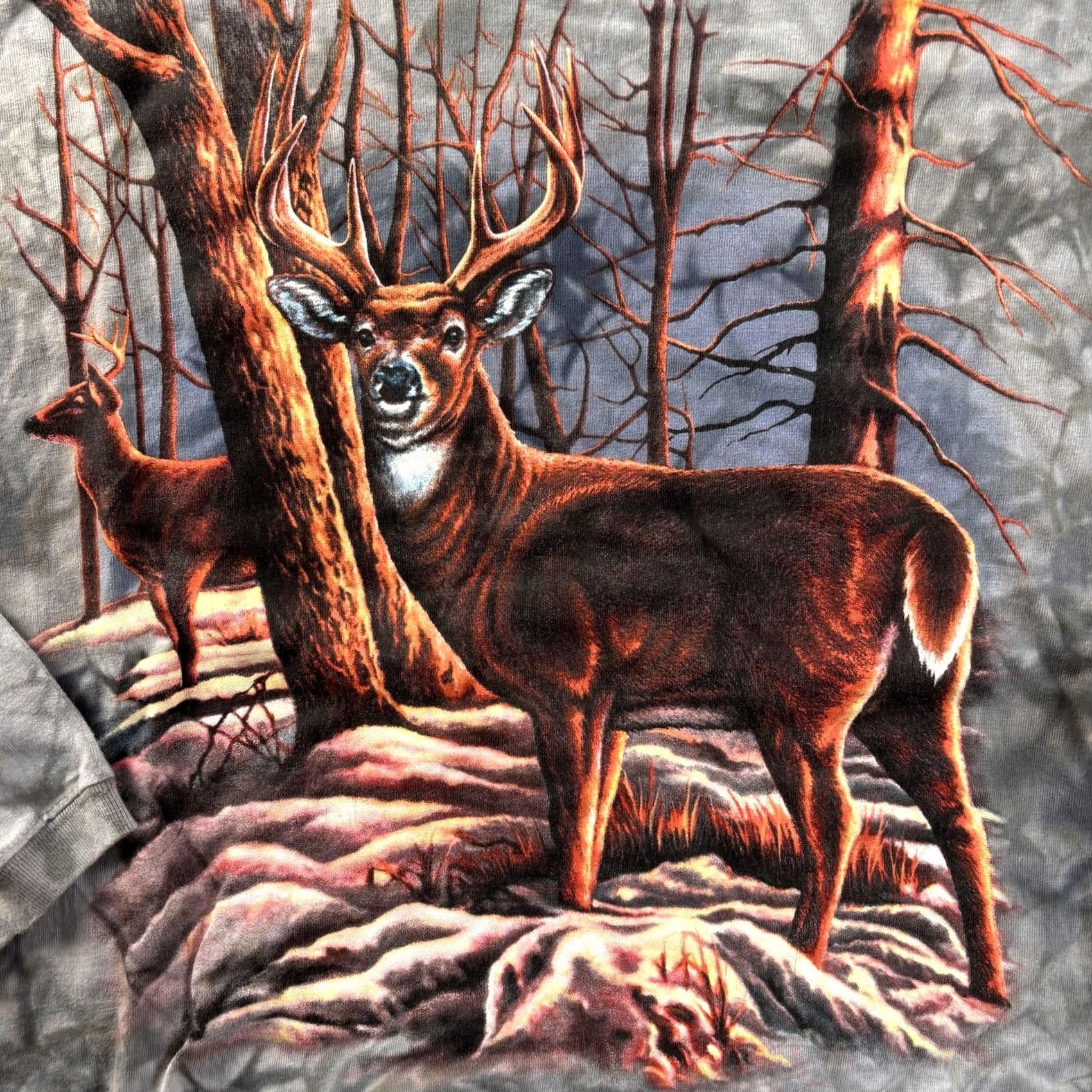 Vintage Back to Earth Shirt Mens XL Gray Deer Buck Graphic Long Sleeve Tie Dye Hunting Size US XL / EU 56 / 4 - 2 Thumbnail