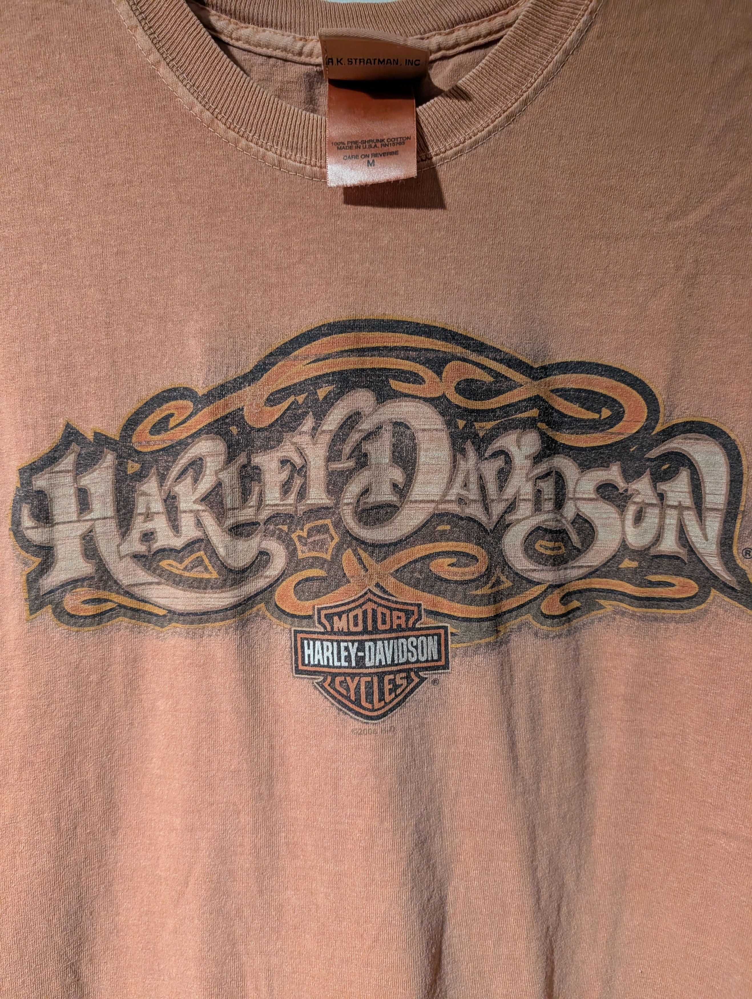 Harley Davidson Vintage 2006 Harley Davidson Motorcycle Eagle Flames T-Shirt Size US M / EU 48-50 / 2 - 2 Thumbnail