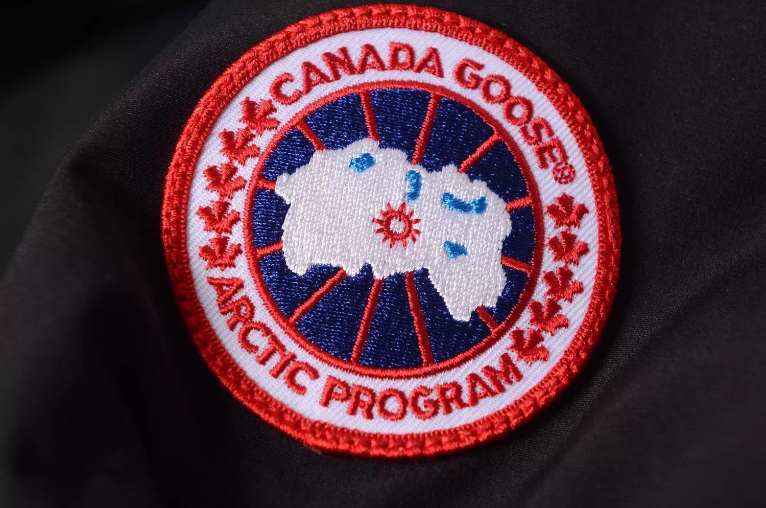 Canada Goose Canada Goose down jacket Size M / US 6-8 / IT 42-44 - 7 Thumbnail
