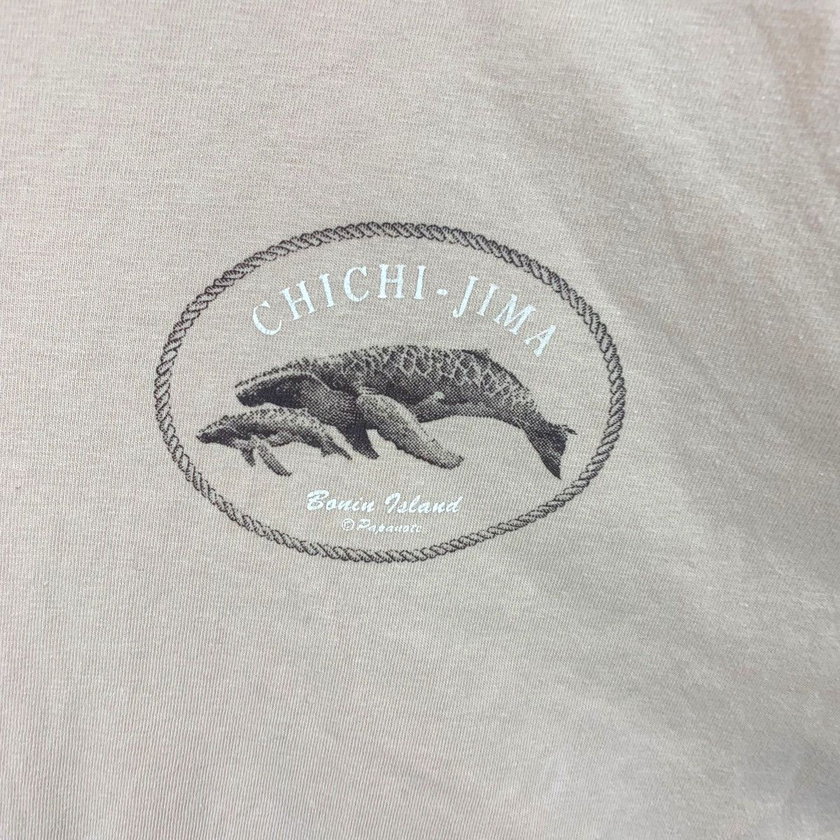 Vintage Vintage 90’ PAPANOTE OGASAWARA ISLAND Bonin Tee Shirt Top Size XL / US 12-14 / IT 48-50 - 6 Thumbnail