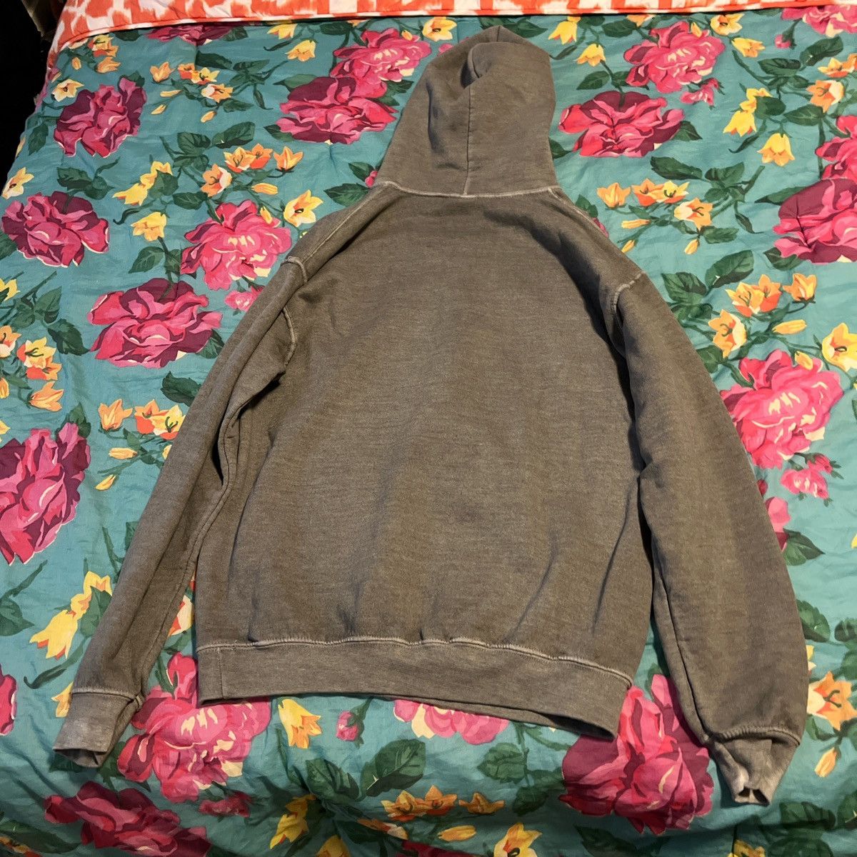 Pacsun Champions hoodie Size US S / EU 44-46 / 1 - 2 Thumbnail