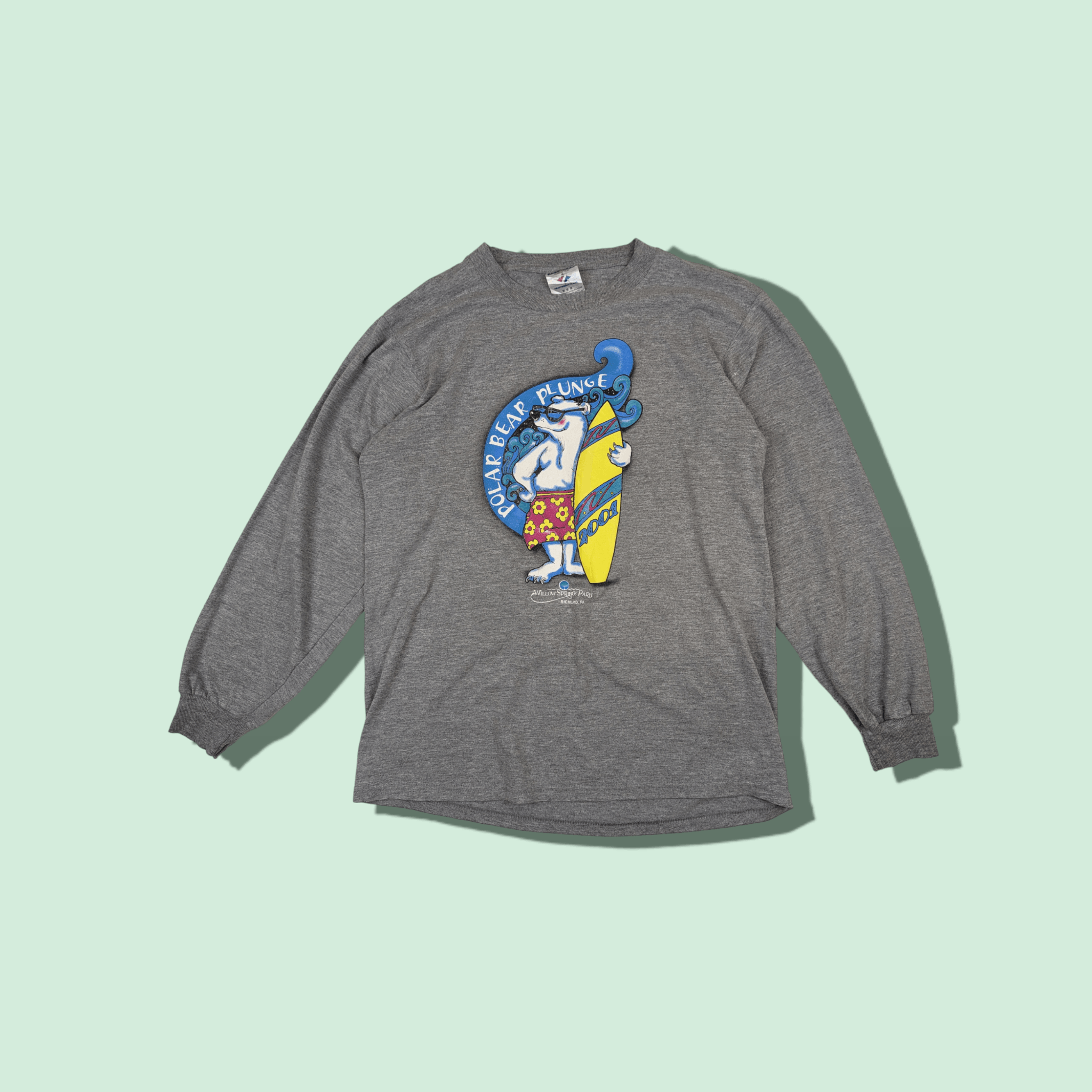 Jerzees Vintage 2001 POLAR BEAR PLUNGE Surf Long Sleeve T-Shirt Size US M / EU 48-50 / 2 - 1 Thumbnail