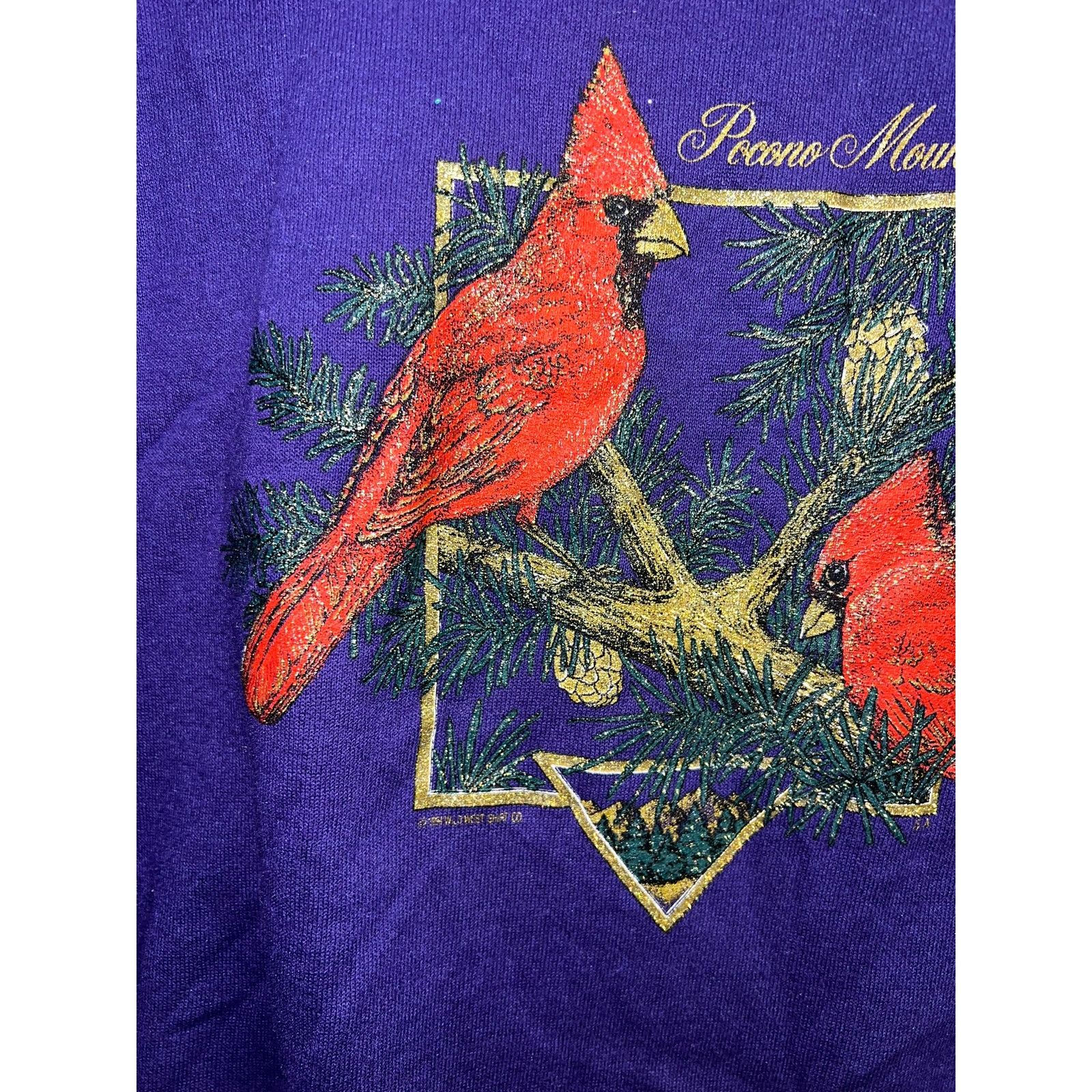 Jerzees Vintage Pocono Mountains Sweatshirt Cardinal Bird Large 90s Size US L / EU 52-54 / 3 - 4 Thumbnail