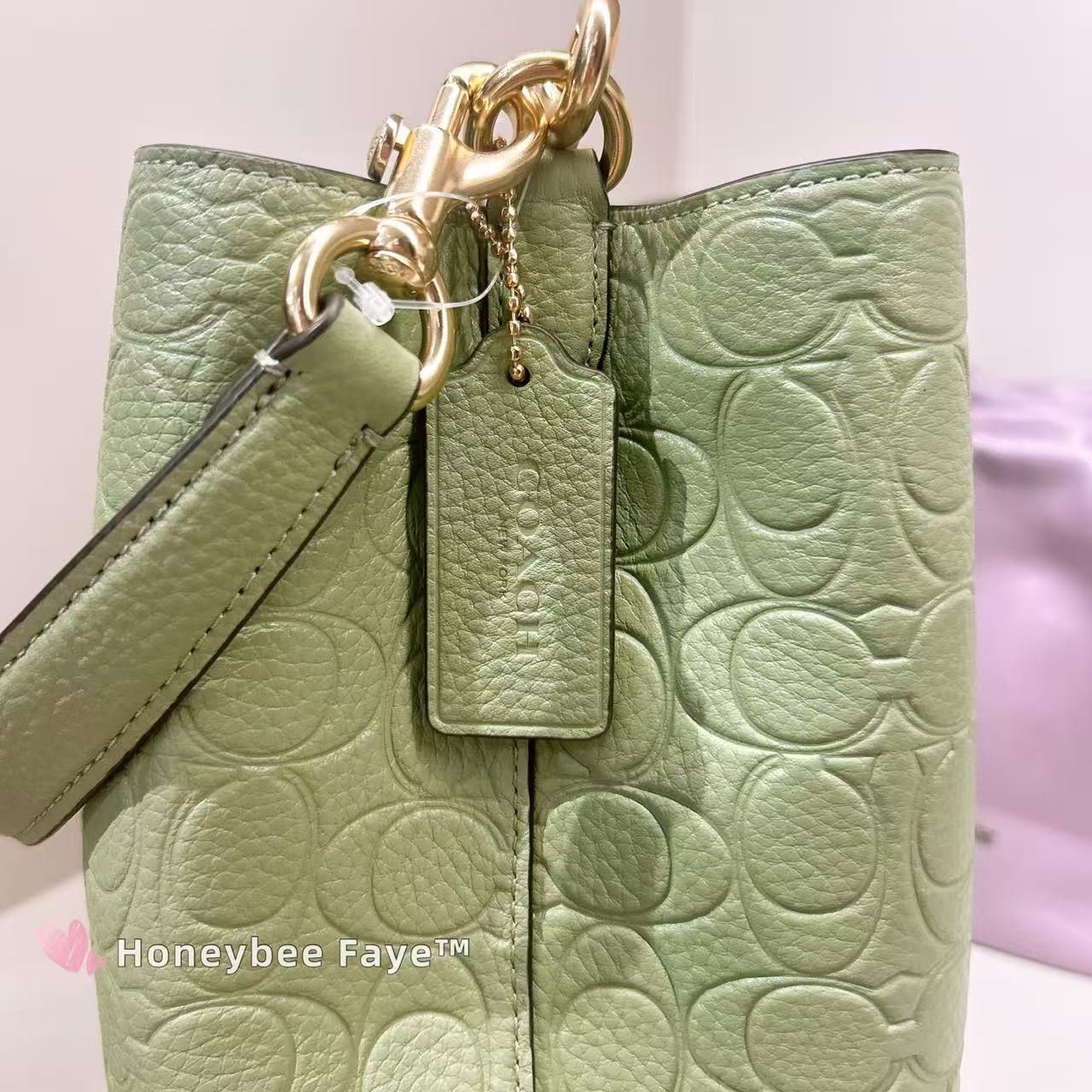 Coach Rowan Bucket Bag In Signature Leather CEA96 Gold/Pistachio Size ONE SIZE - 4 Thumbnail