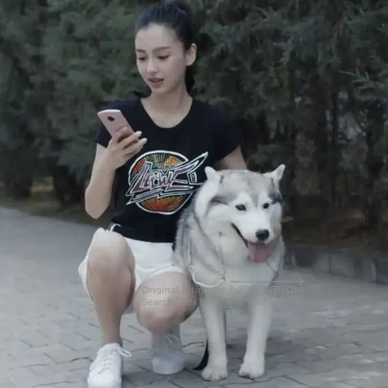 Loewe Black Cotton Short Sleeve T-Shirt .