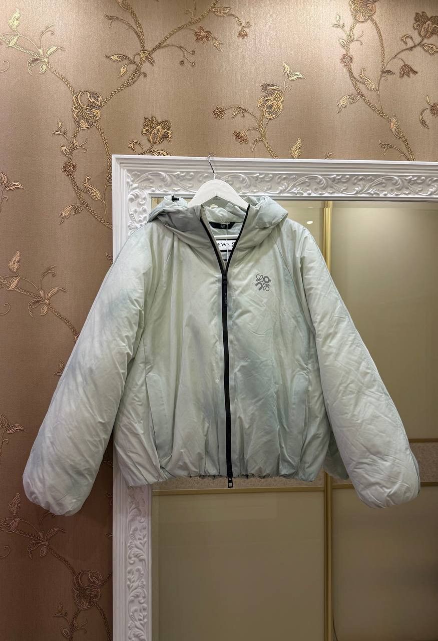 Loewe × On Loewe x On Hooded Puffer Down Jacket Size M / US 6-8 / IT 42-44 - 1 Thumbnail