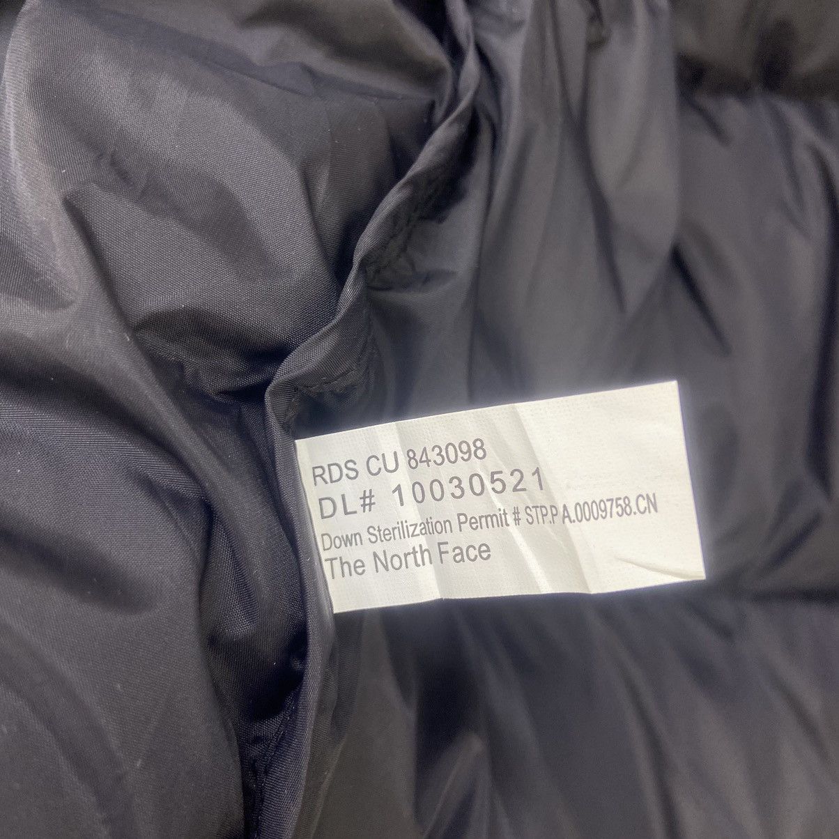 The North Face 700 Puffer Nuptse Goose Down Jacket