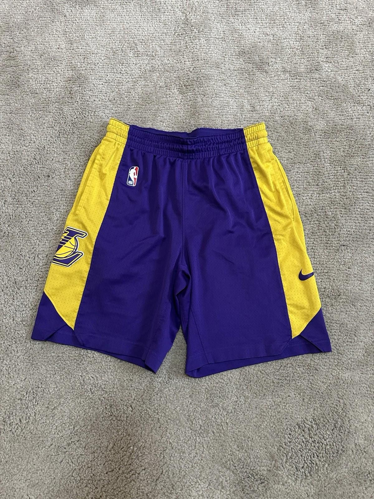 Nike Nike LA Lakers NBA Dri-Fit Basketball Shorts Size M Size US 32 / EU 48 - 1 Thumbnail