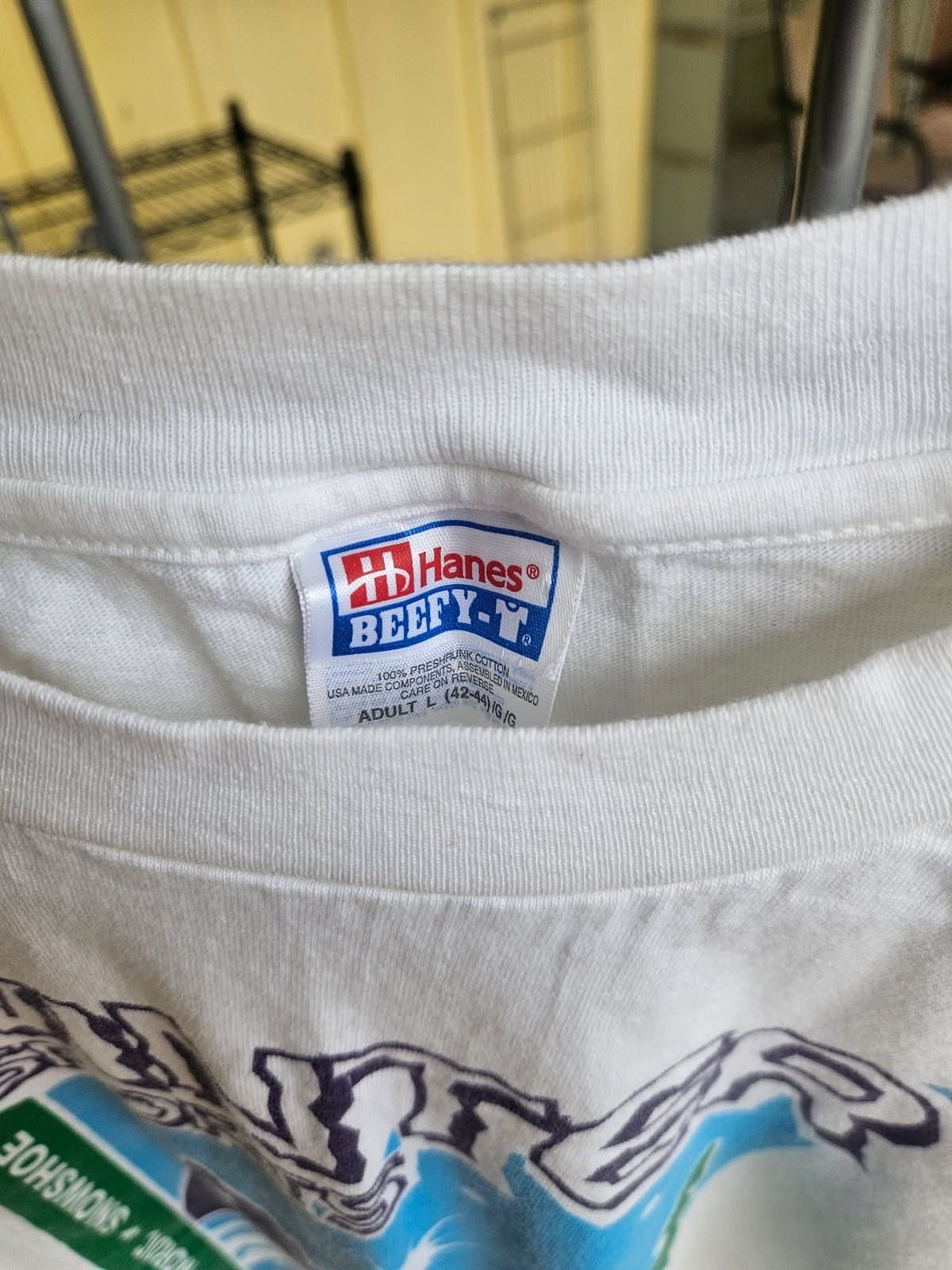 Hanes Special Winter Olympics Idaho Hanes Beefy Long Sleeve Tee Size US L / EU 52-54 / 3 - 4 Thumbnail