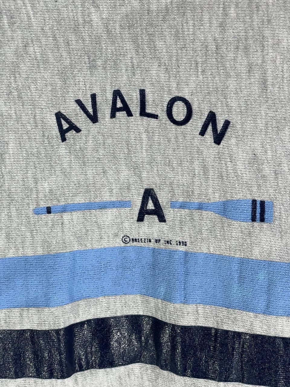 Champion Vintage 90s 1990 champion reverse weave avalon crew L Size US L / EU 52-54 / 3 - 5 Thumbnail