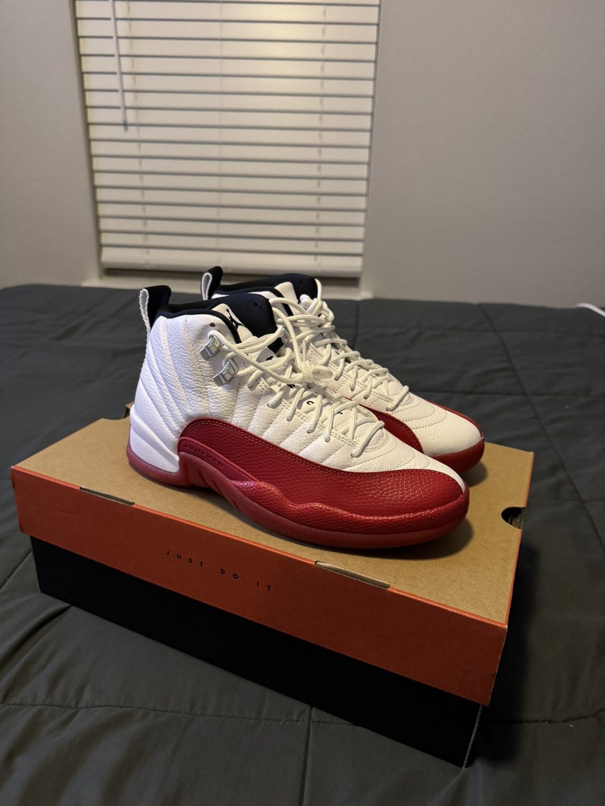 Jordan Brand Jordan 12 “Cherry” Size US 7.5 / EU 40-41 - 1 Thumbnail