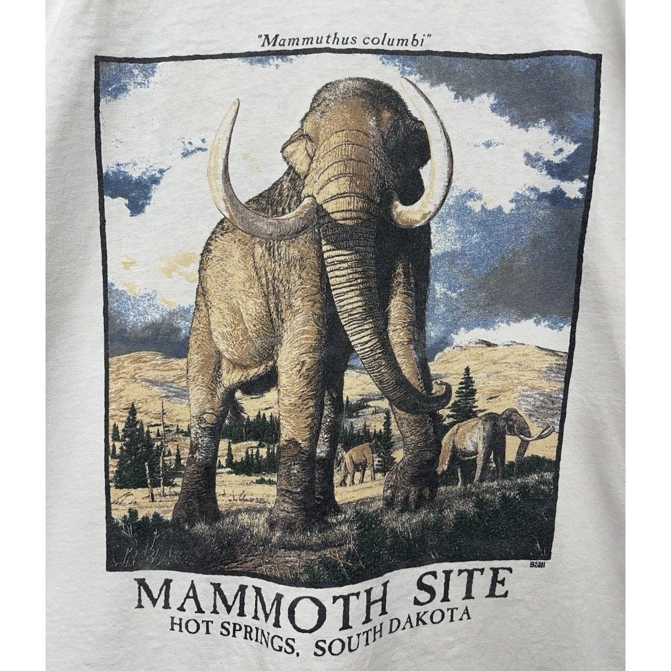 Other Mammoth Site Hot Springs South Dakota Vintage T-Shirt Men XL Size US XL / EU 56 / 4 - 2 Thumbnail