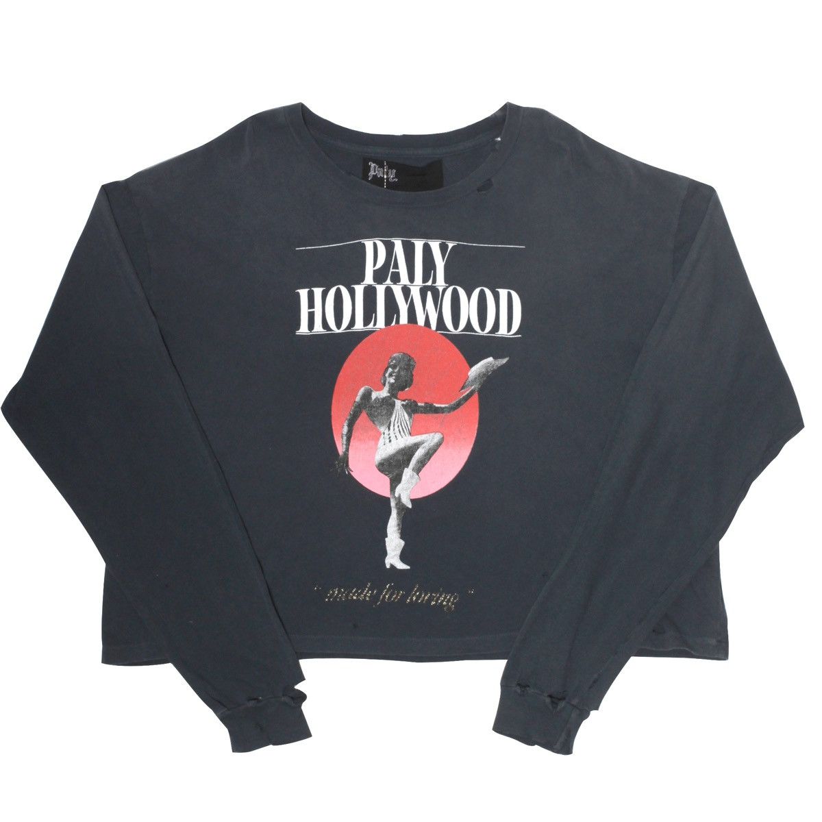 Paly Hollywood Paly Hollywood Steve
