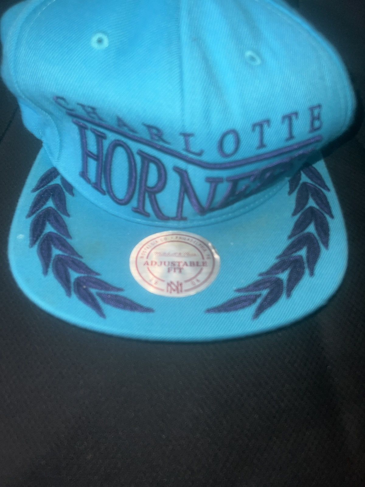 Mitchell & Ness Mitchell & Ness NBA Charlotte Hornets Adjustable Snapback Size ONE SIZE - 2 Thumbnail