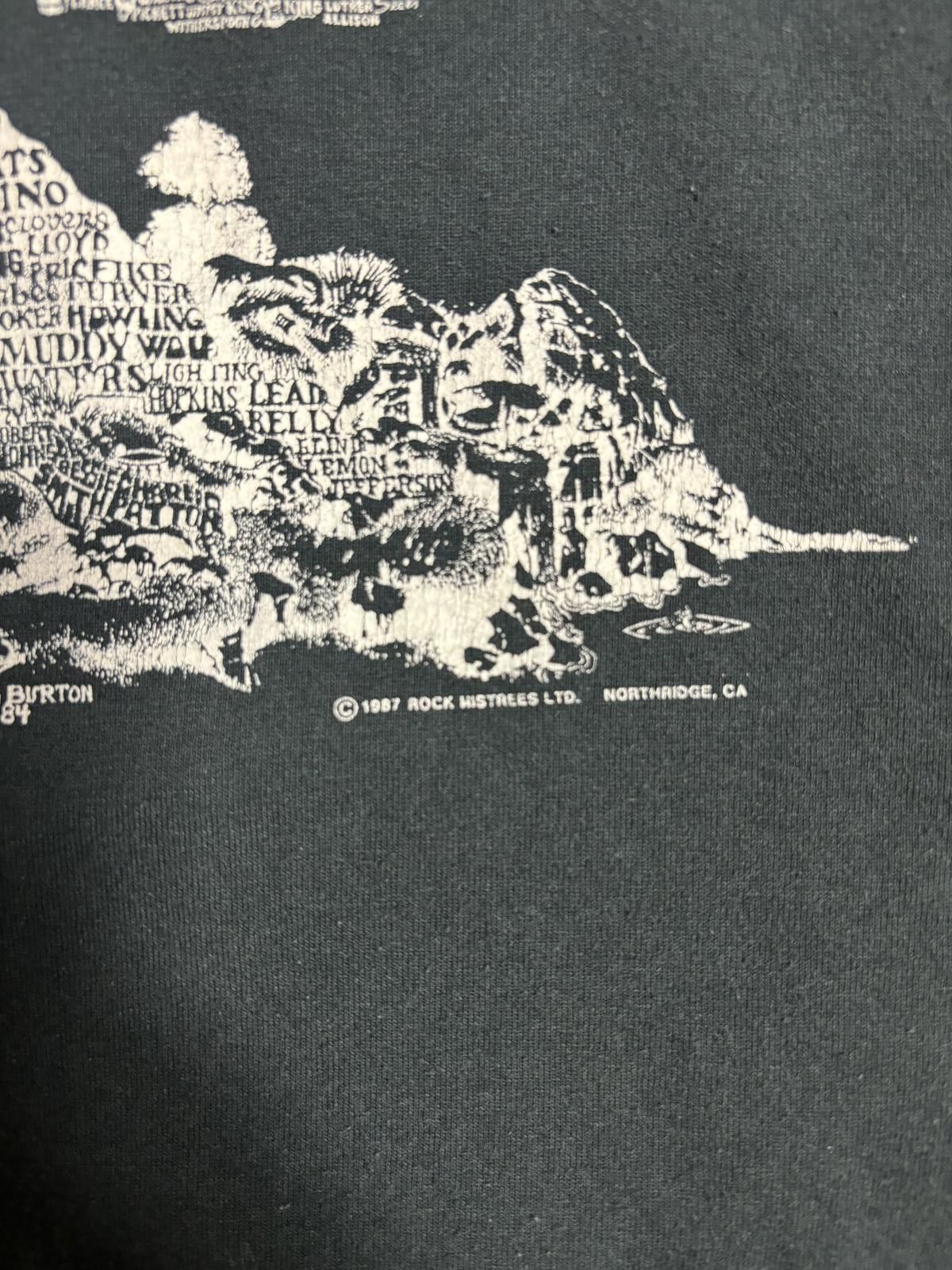 Other Vintage 1987 Family Tree of American Rock T-Shirt Size US XL / EU 56 / 4 - 3 Thumbnail