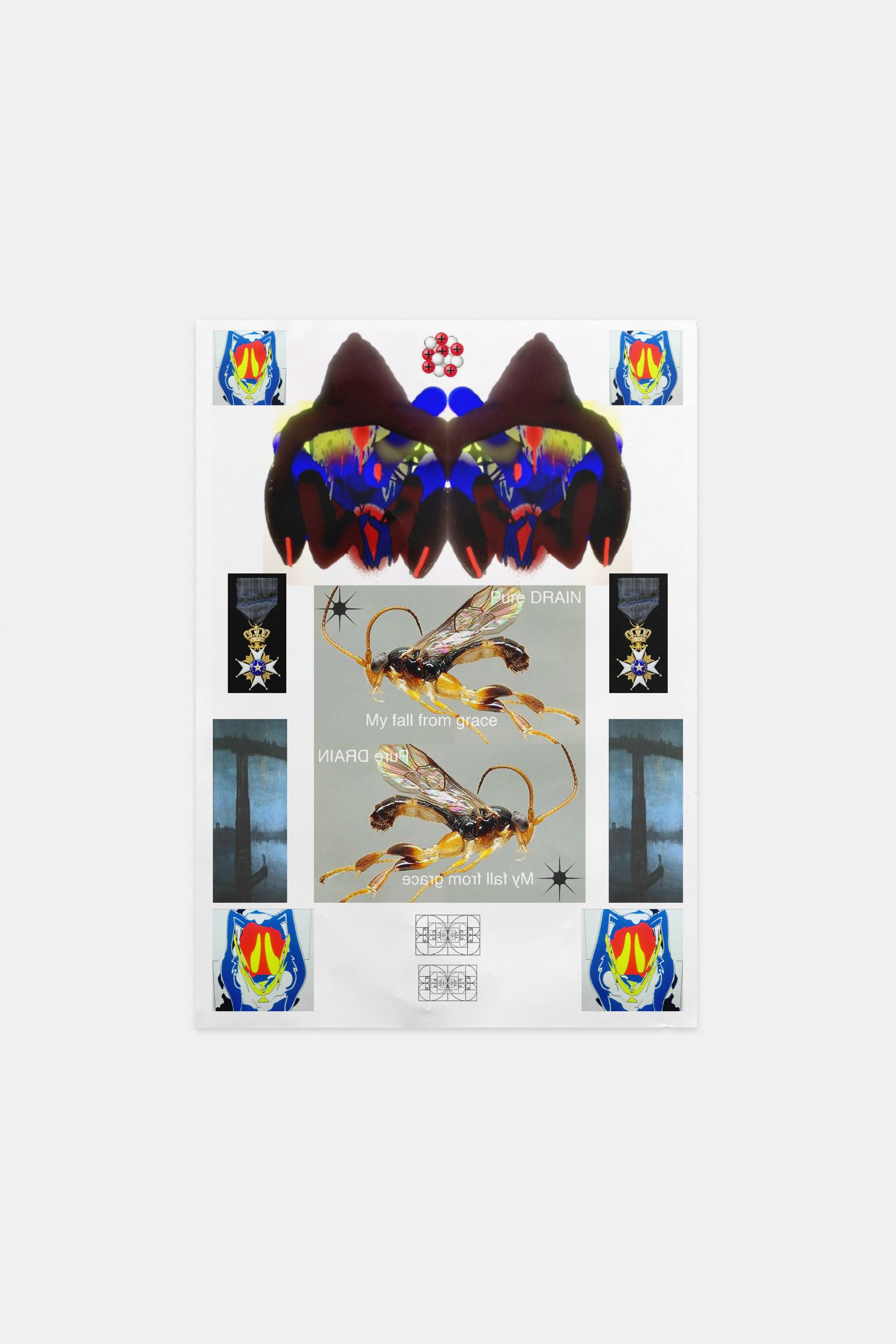 Drain Gang Bladee My Fall From Grace Numbered Poster Size ONE SIZE - 1 Preview