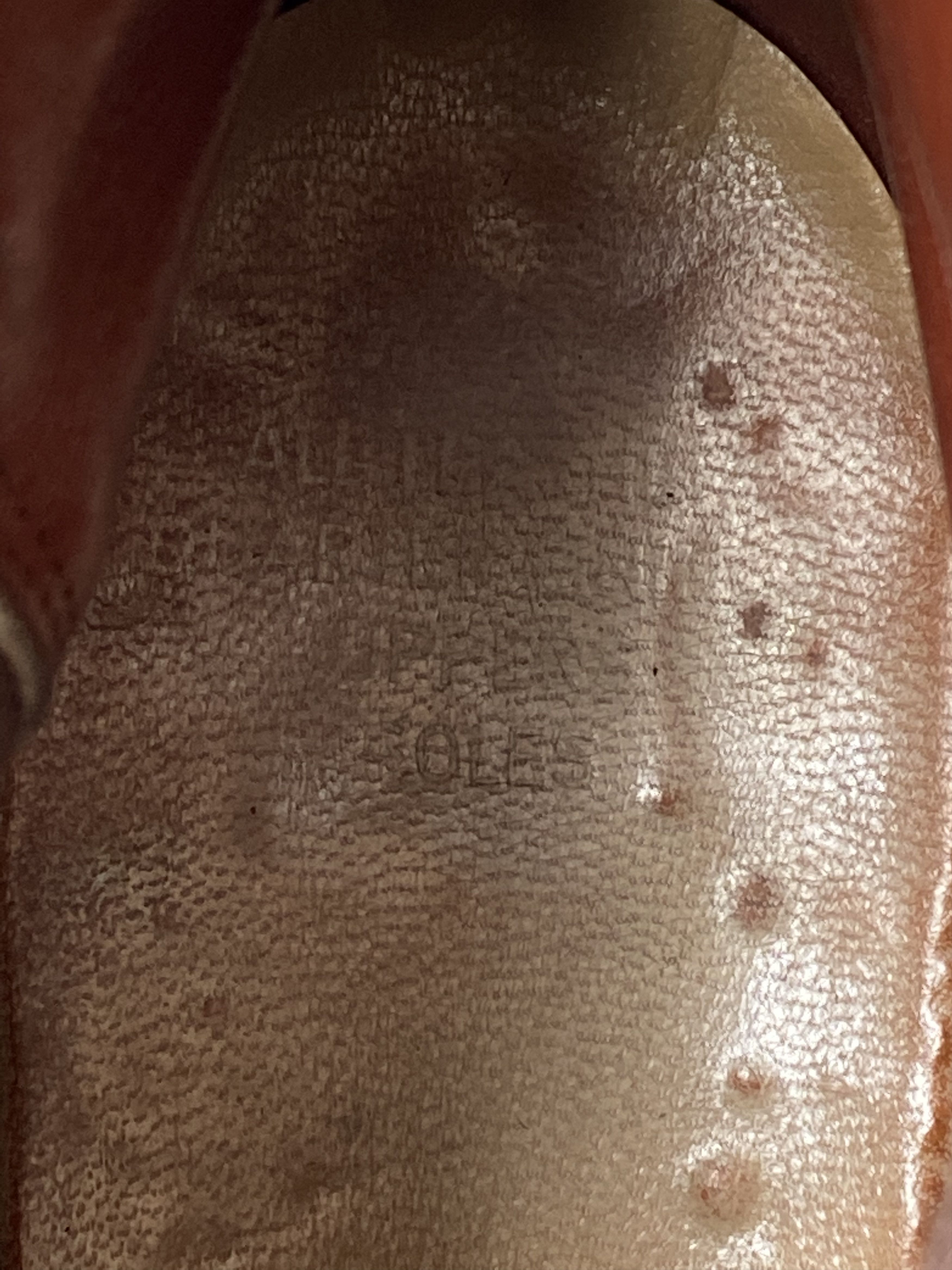 R.M. Williams Rm williams chelsea yearling boots uk 8.5 Size US 9.5 / EU 42-43 - 10 Thumbnail