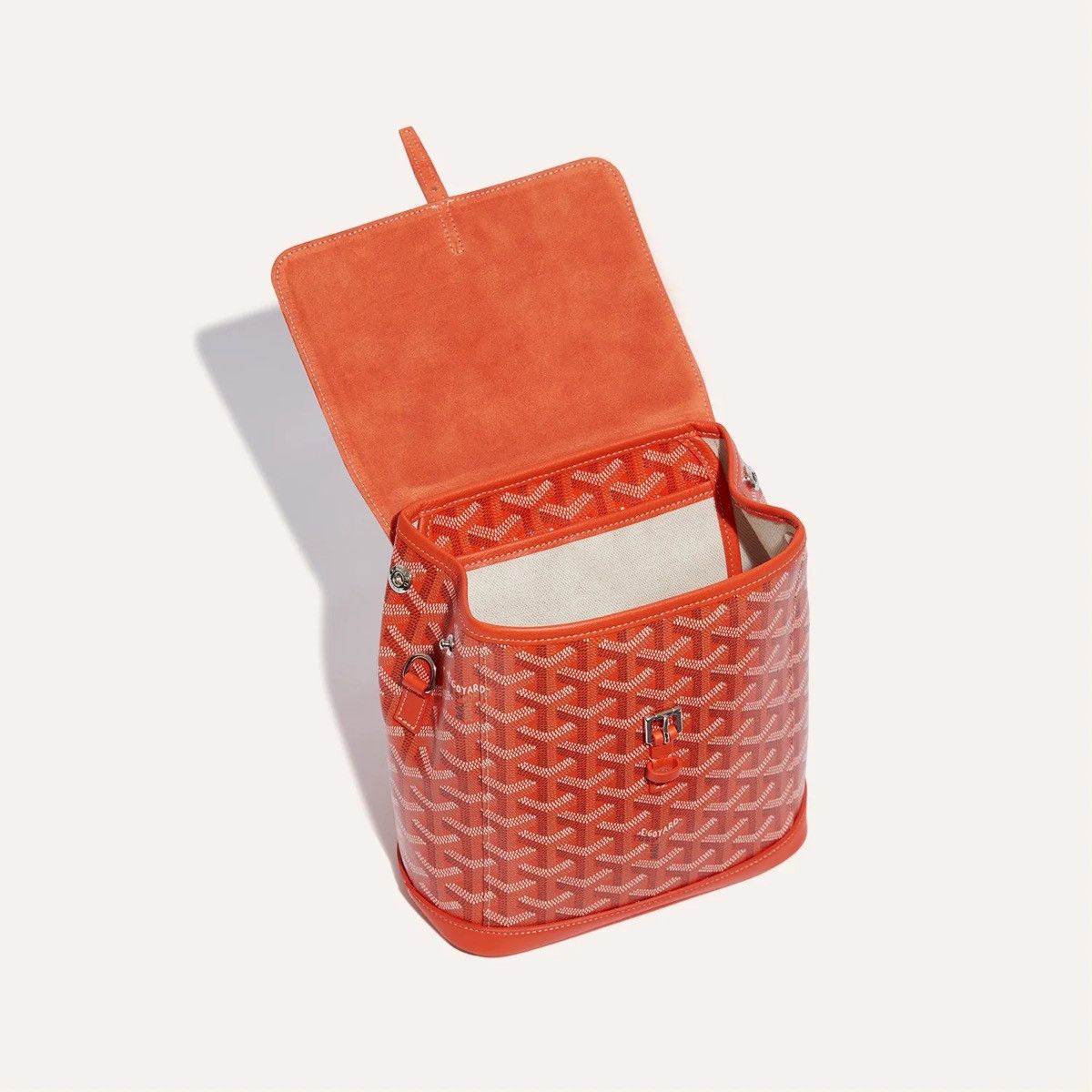 Goyard Alpin mini backpack Size ONE SIZE - 5 Thumbnail