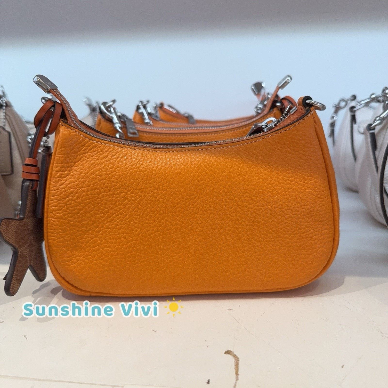 Coach NWT Coach Teri Mini Crossbody Bag Star Charm CBG79 Size ONE SIZE - 12 Thumbnail