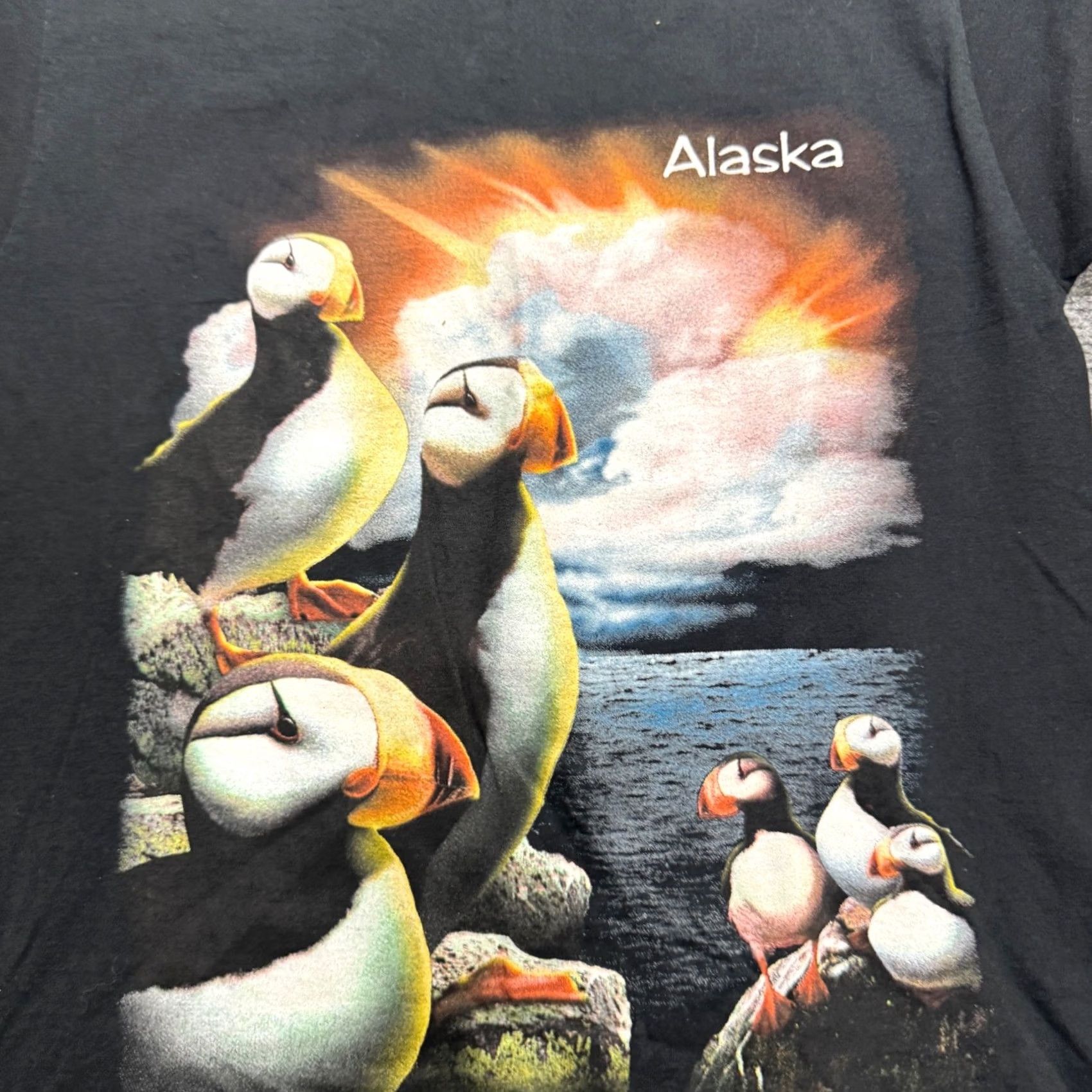 Vintage VINTAGE Alaska 90s Puffin Fratercula Arctica Bird Nature T-shirt M Black Mens Size US M / EU 48-50 / 2 - 5 Thumbnail