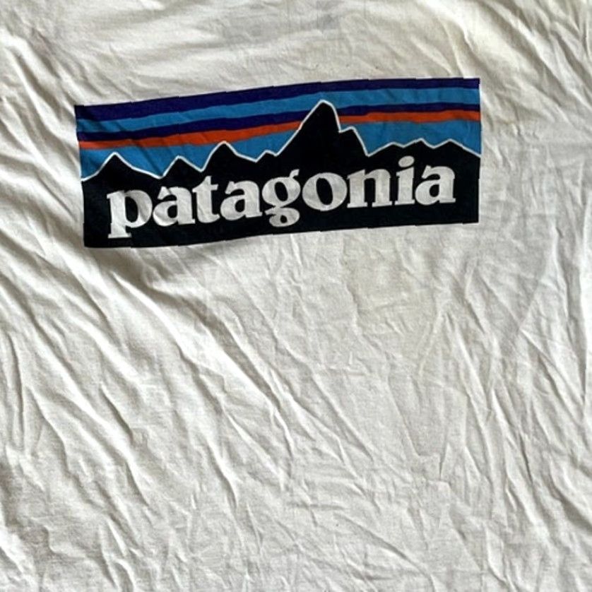 Patagonia Patagonia Organic Cotton Tee Mens Back Logo Short Sleeve Size L Size US 31 - 4 Thumbnail