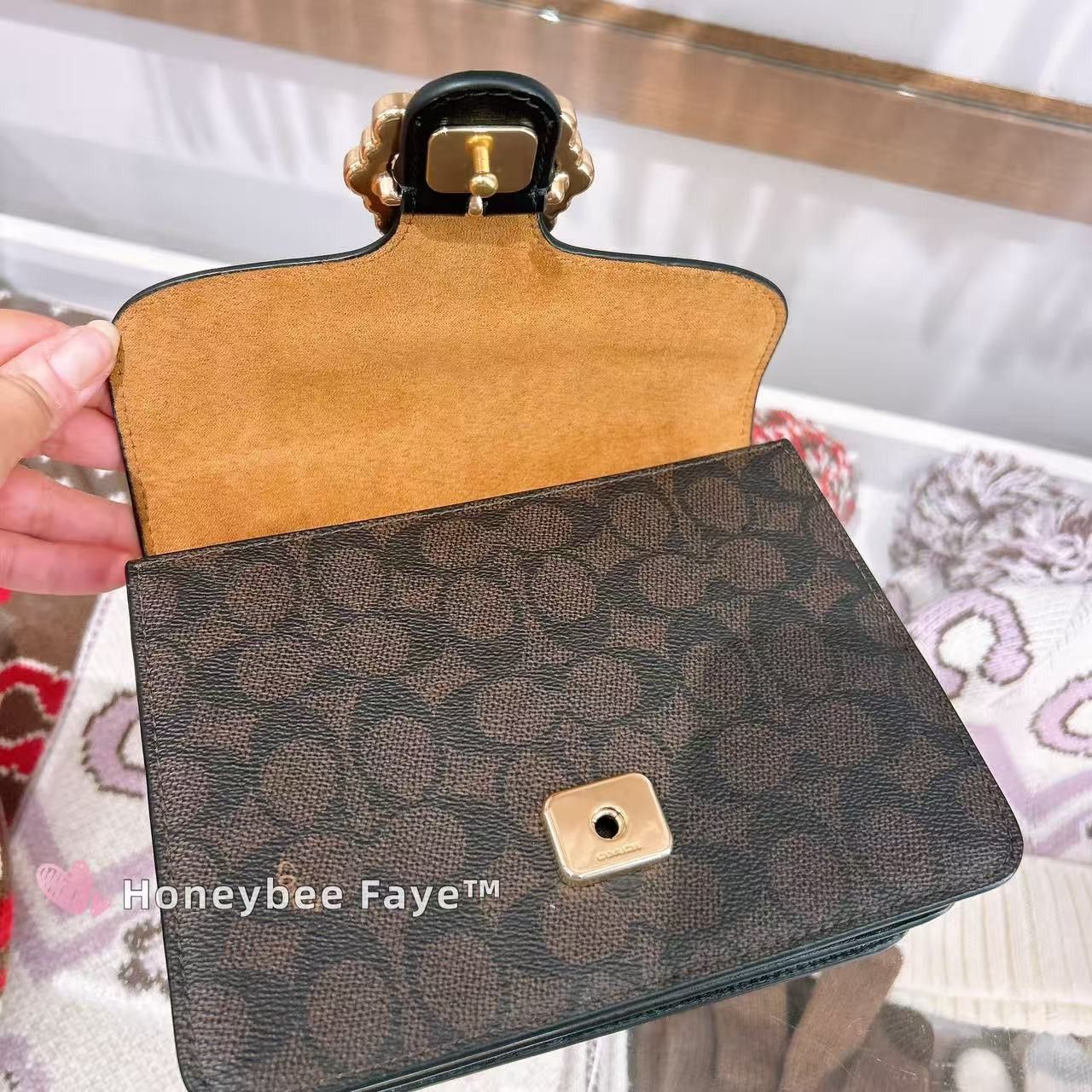 Courtney Top Handle Bag In Signature Canvas CCE22
