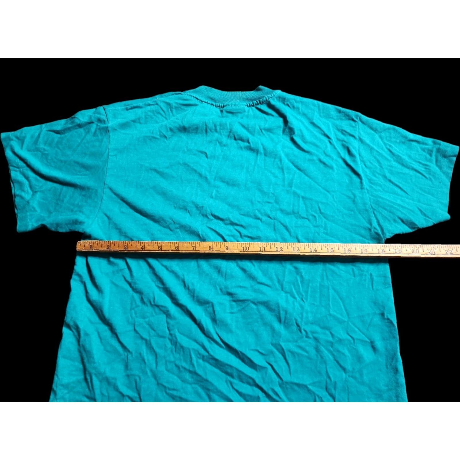 Hanes VINTAGE Hanes 80s Blue Solid Loons Ducks T-Shirt Adult M Single Stitch Distressed Mens Size US M / EU 48-50 / 2 - 2 Thumbnail