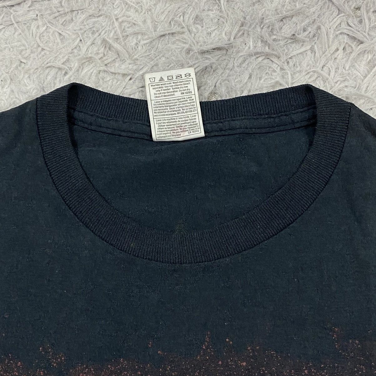 Band Tees × Fruit Of The Loom × Vintage Vintage Y2K band all that remains Size US M / EU 48-50 / 2 - 4 Thumbnail