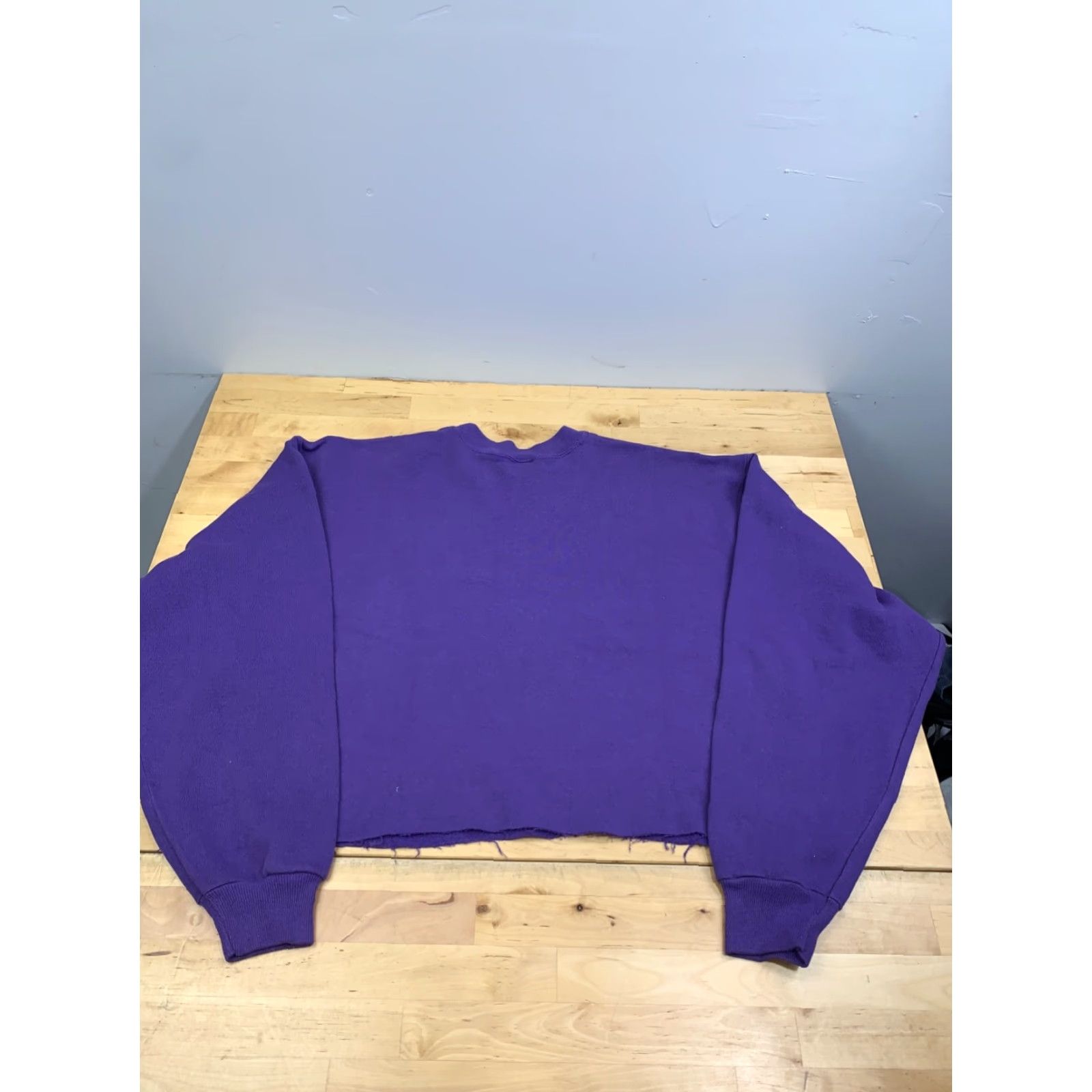 Hanes VINTAGE Hanes Cat Sweatshirt Womens XL Purple 90s Pullover Cropped 12544 Size XL / US 12-14 / IT 48-50 - 8 Thumbnail